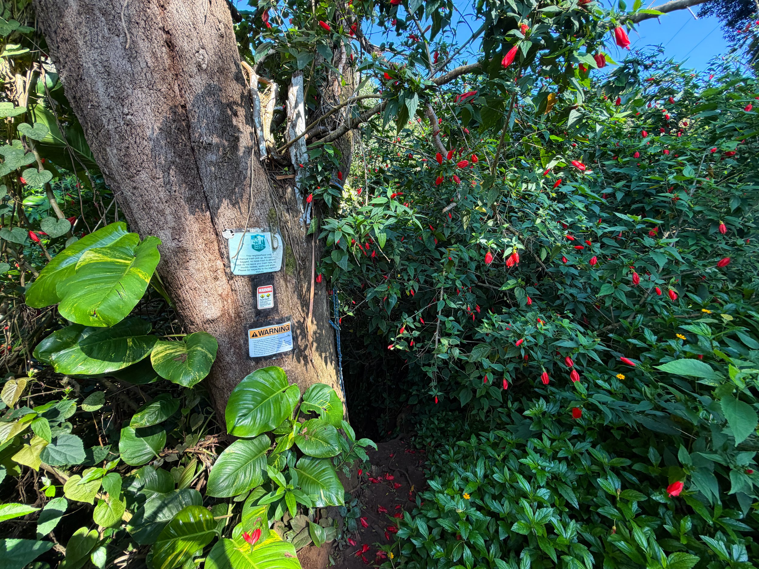 Kaau Crater Trailhead Oahu Hawaii