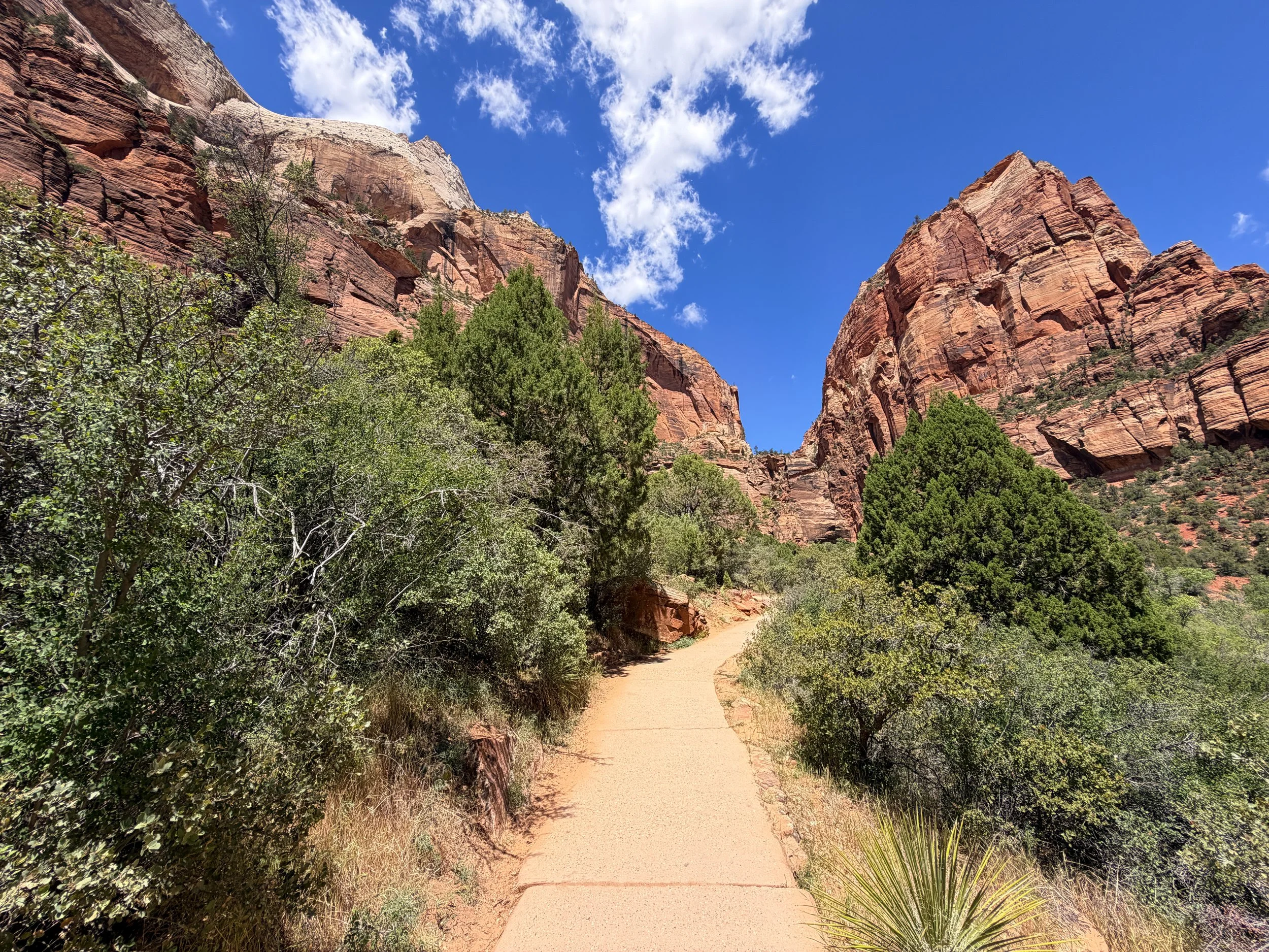 Angels Landing Hike Zion National Park Utah
