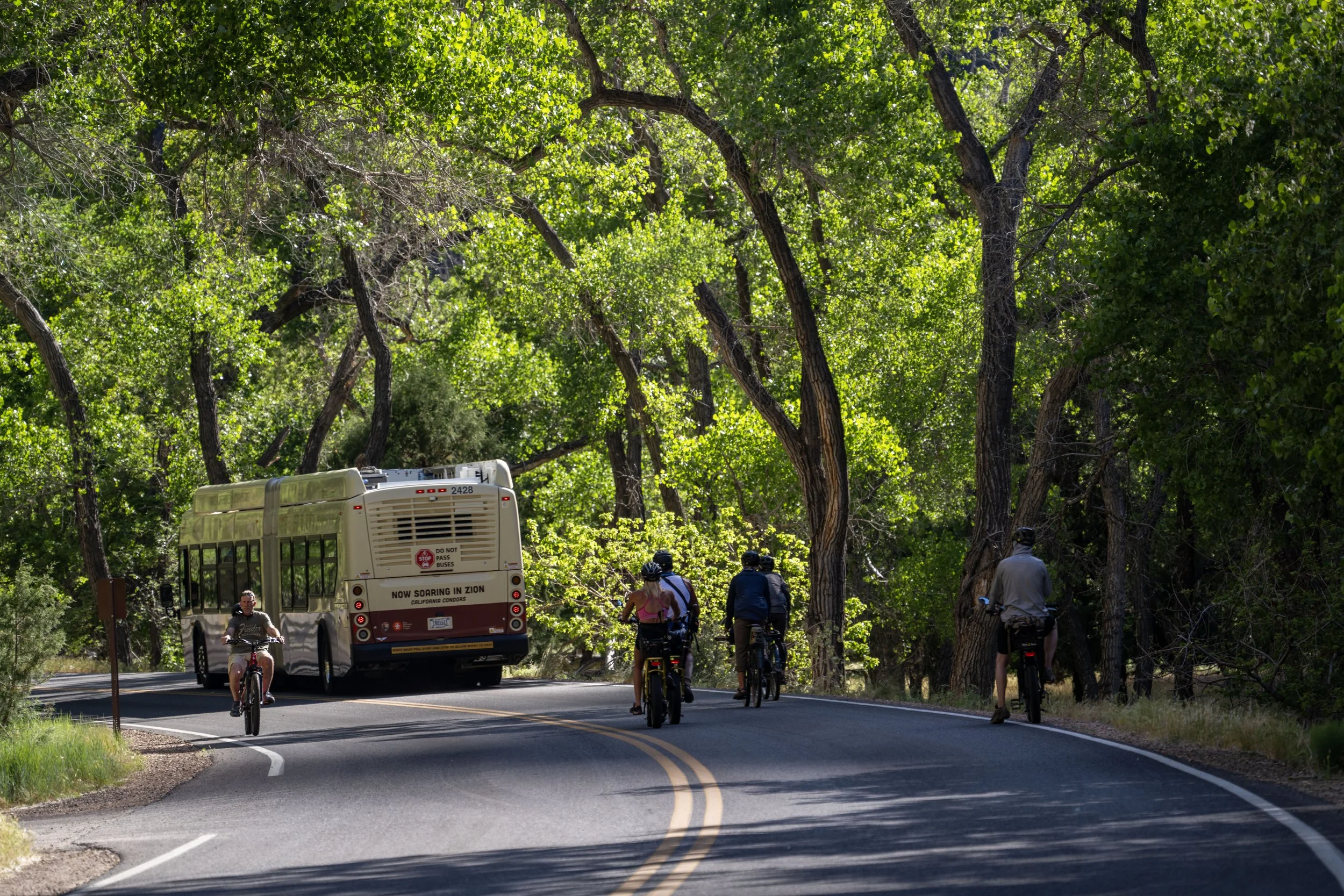 Biking Zion Canyon Scenic Drive Zion National Park