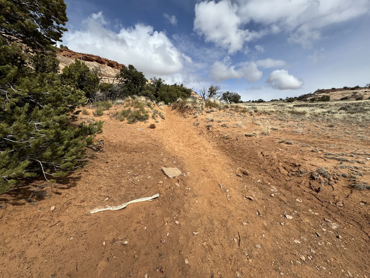 Hiking the Aztec Butte Trail in Canyonlands National Park — noahawaii