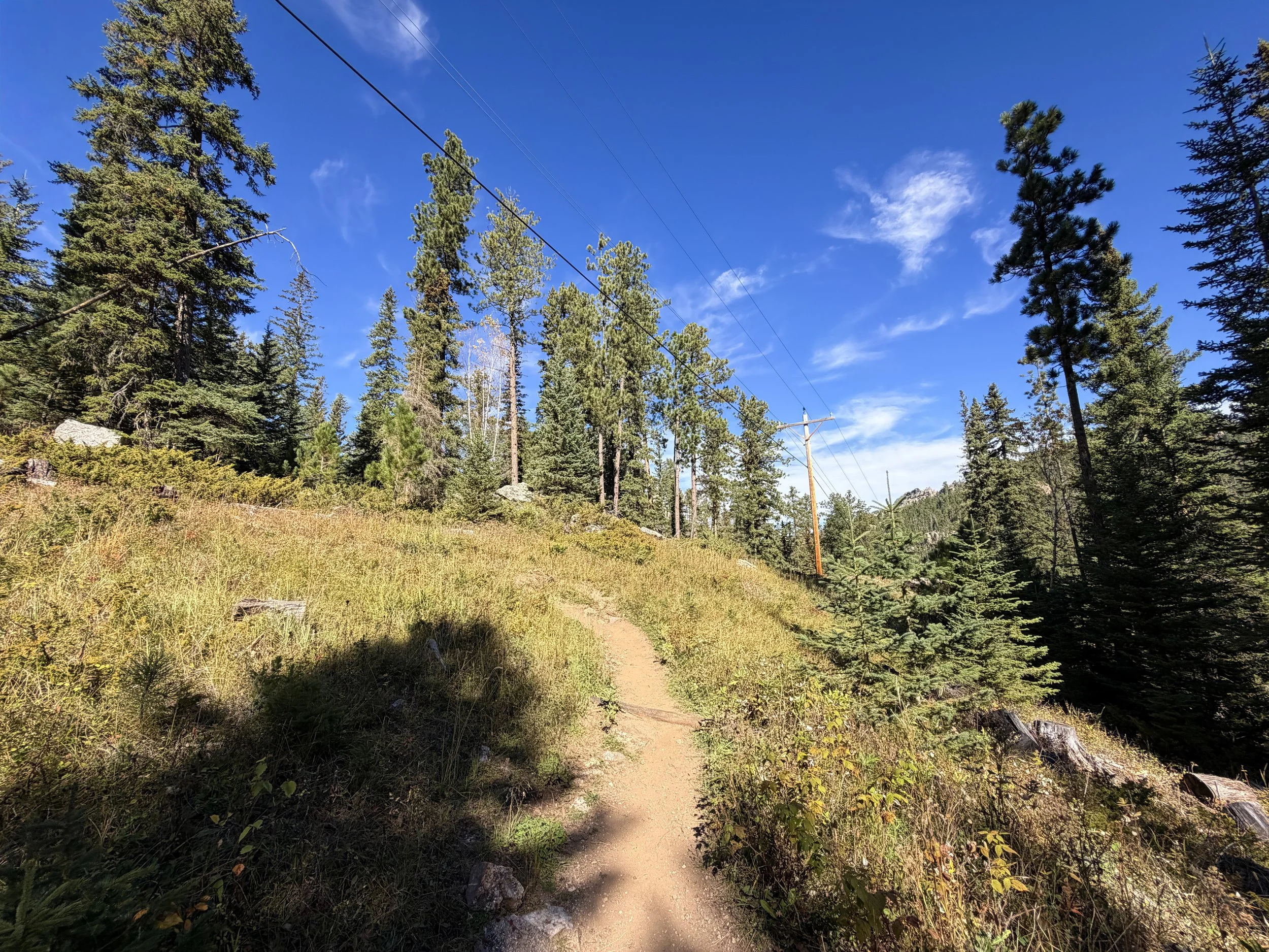 Sunday Gulch Trail Custer State Park Black Hills South Dakota