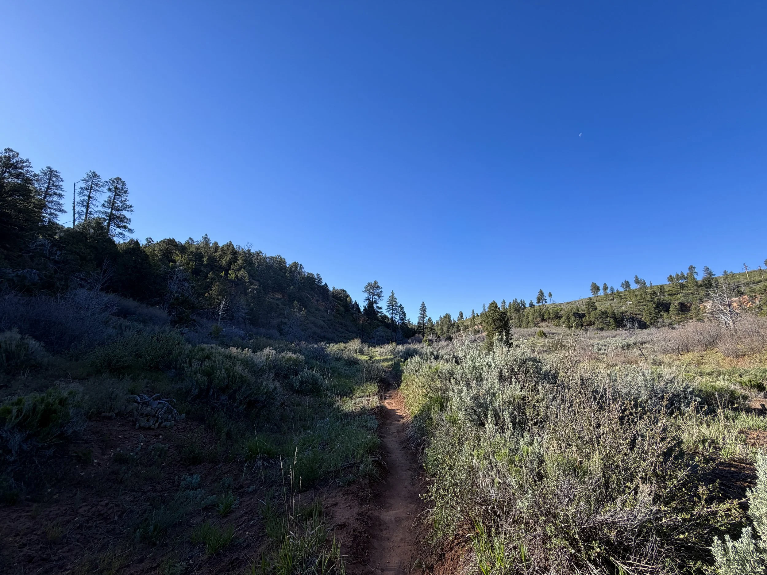 Deertrap Mountain Trail via Stave Spring Zion National Park Utah