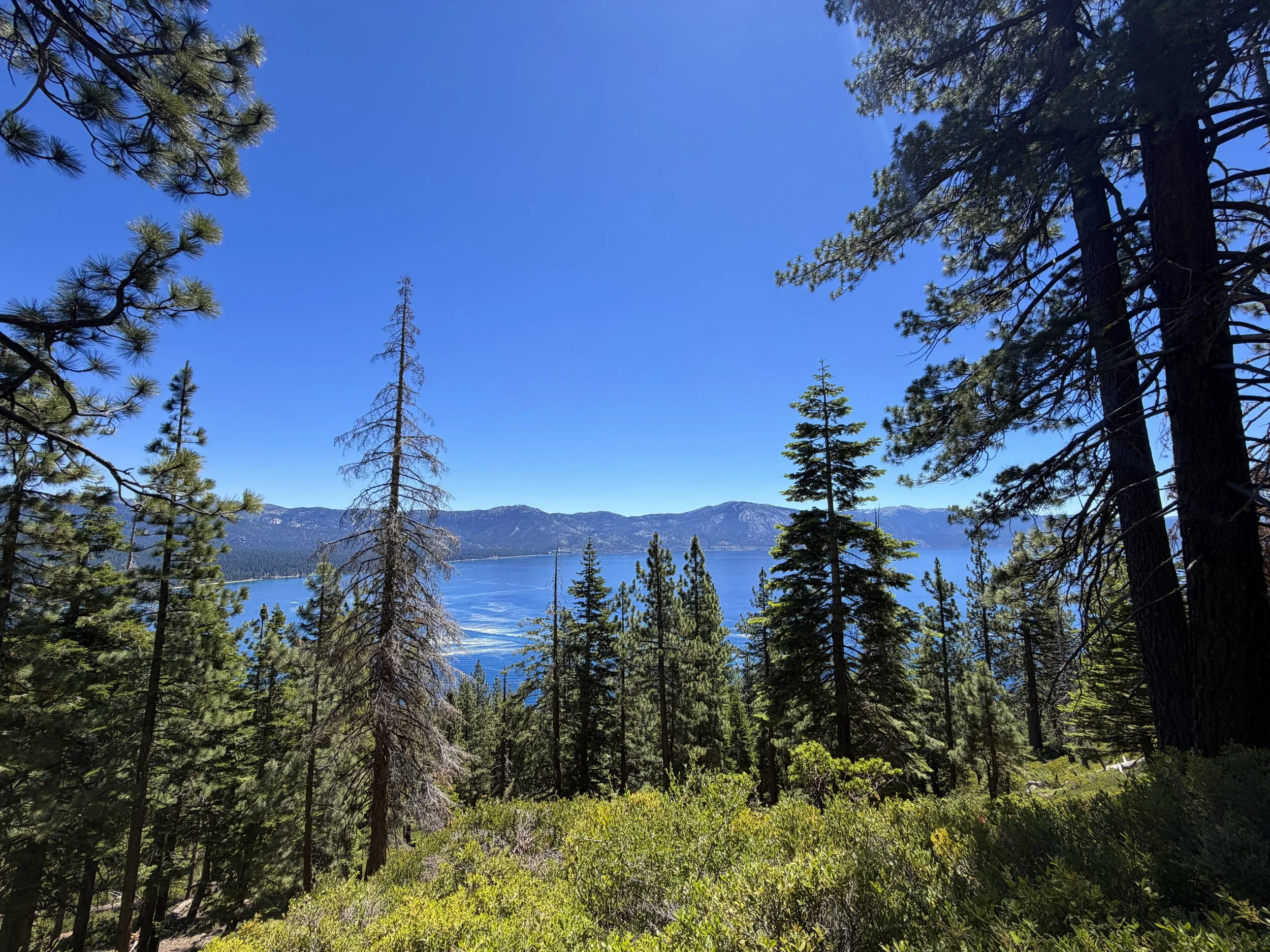 Stateline Lookout Trail Lake Tahoe California