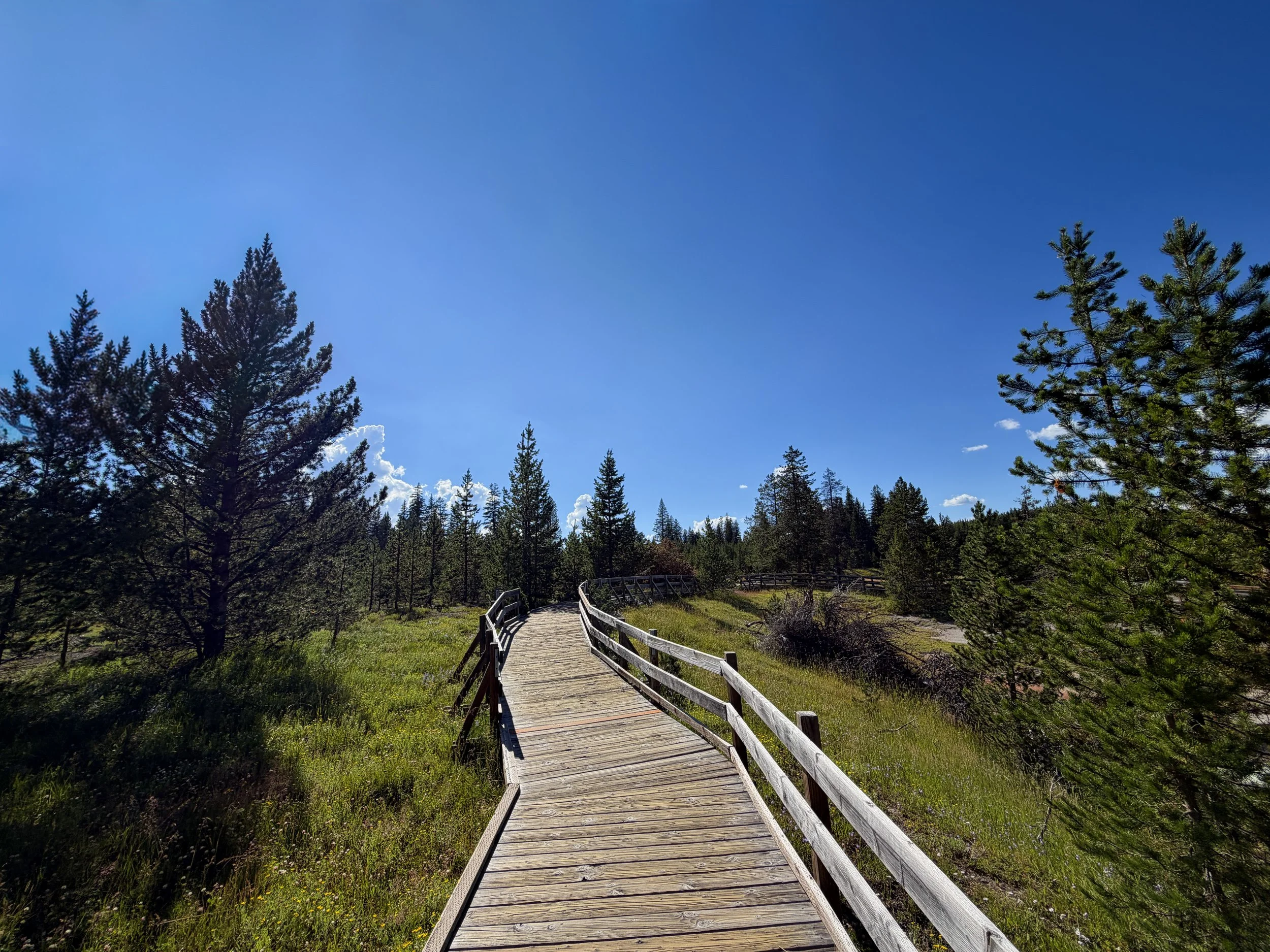West Thumb Geyser Basin Trail Yellowstone National Park Wyoming