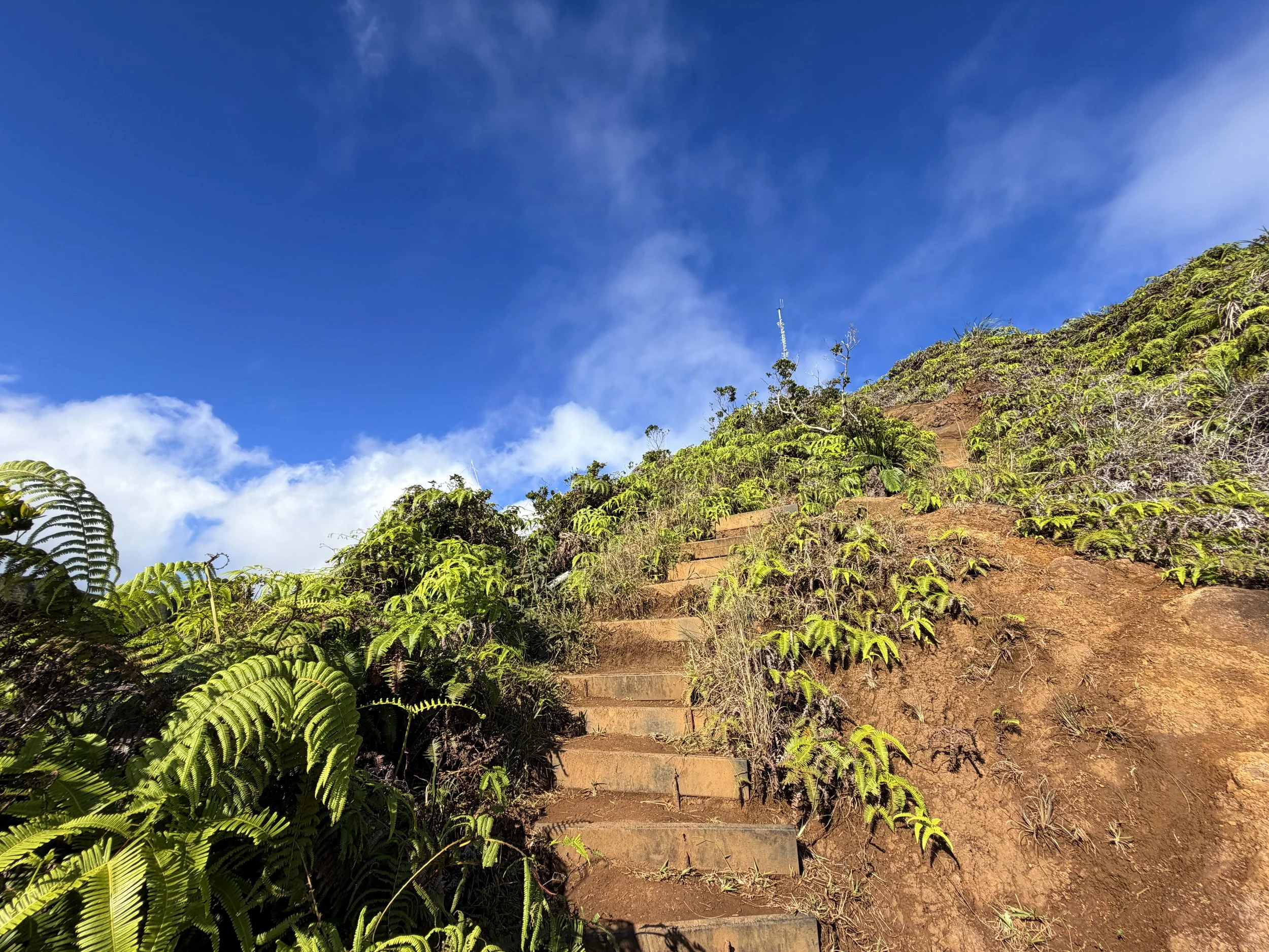 Wiliwilinui Ridge Trail Stairs Oahu Hawaii