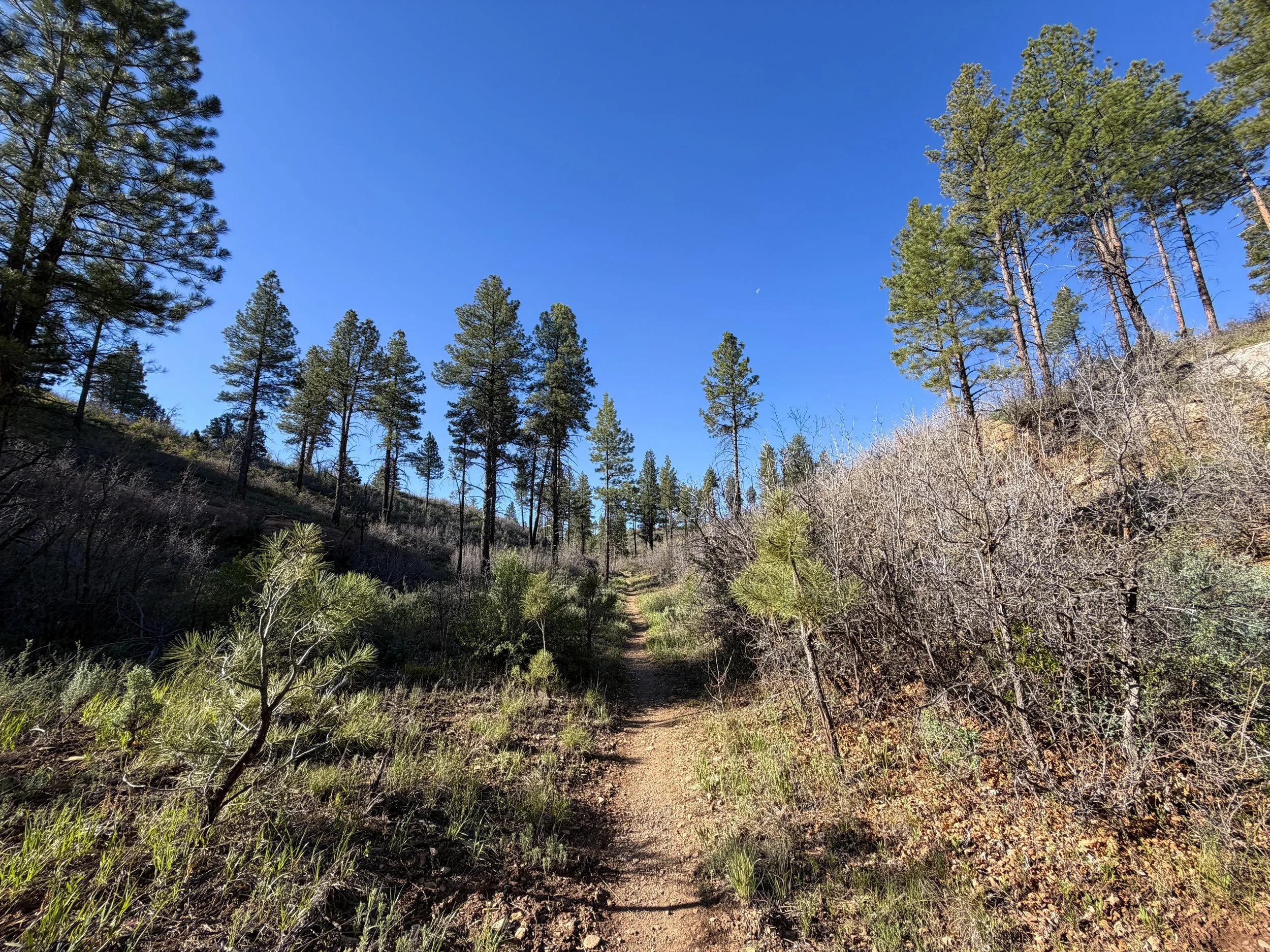 Deertrap Mountain Trail Zion National Park Utah