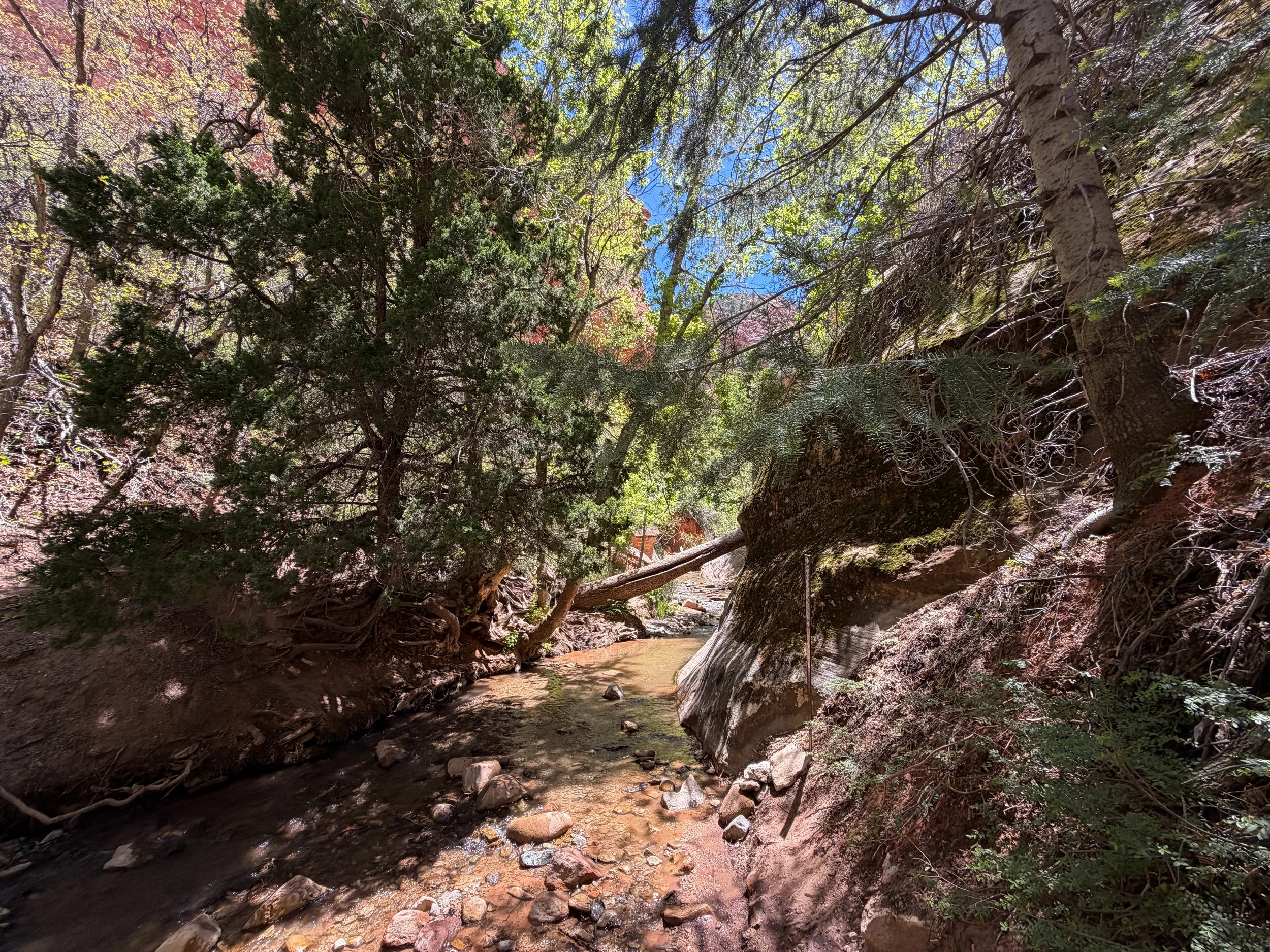 Kanarra Falls Trail Kanarraville Utah