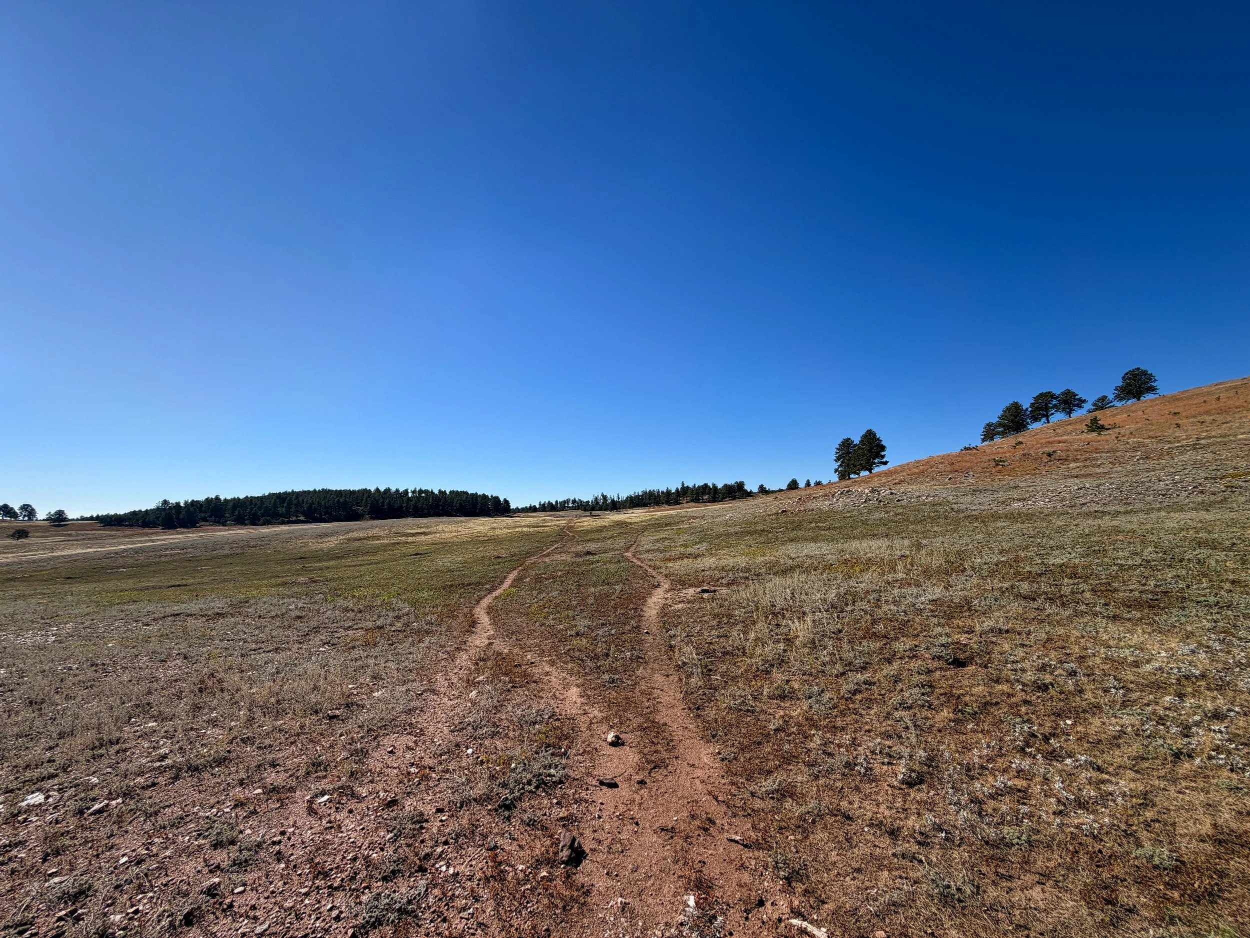 Sanctuary Trail Wind Cave National Park South Dakota