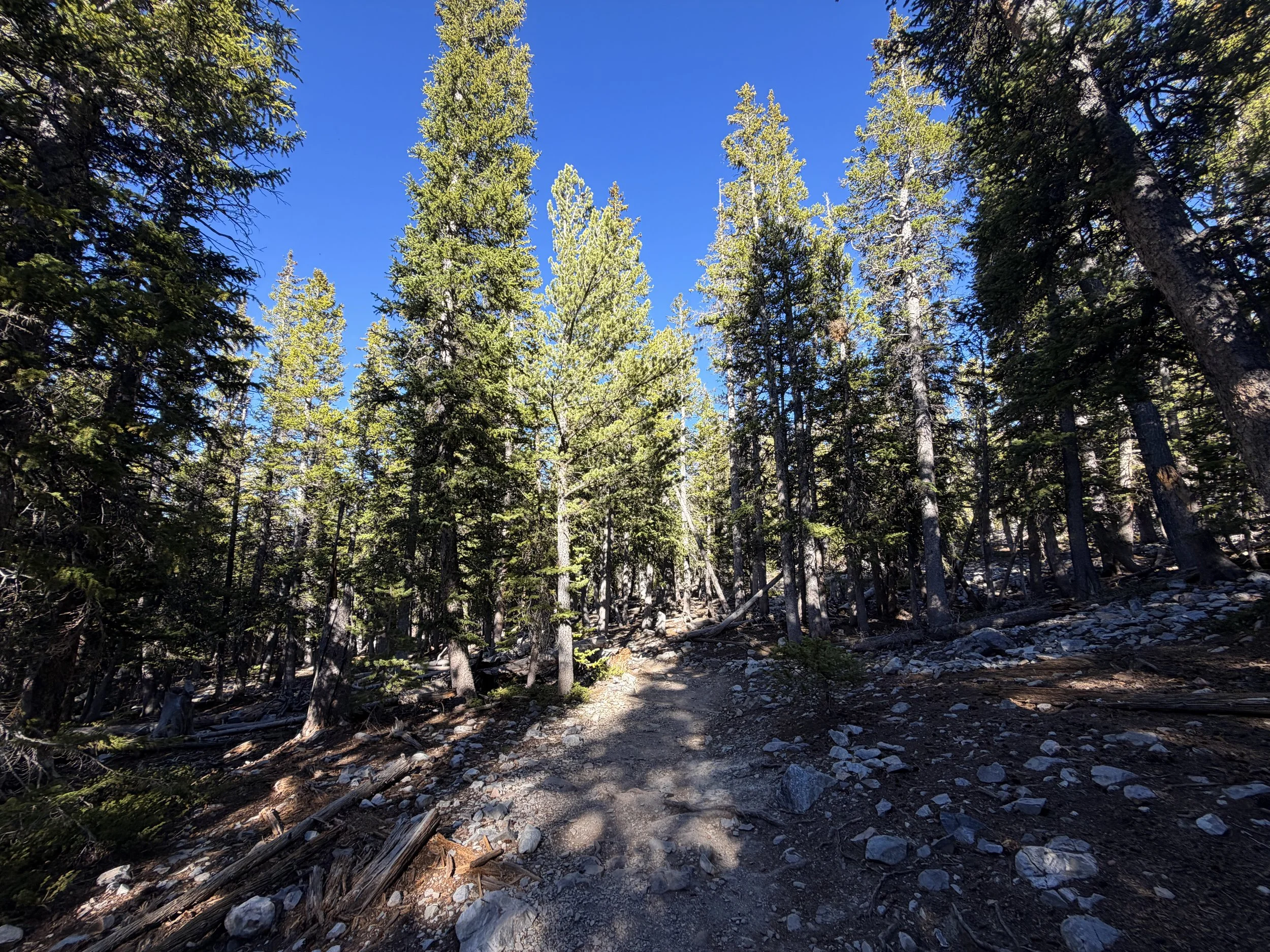 Alpine Lakes Loop Trail Great Basin National Park Nevada