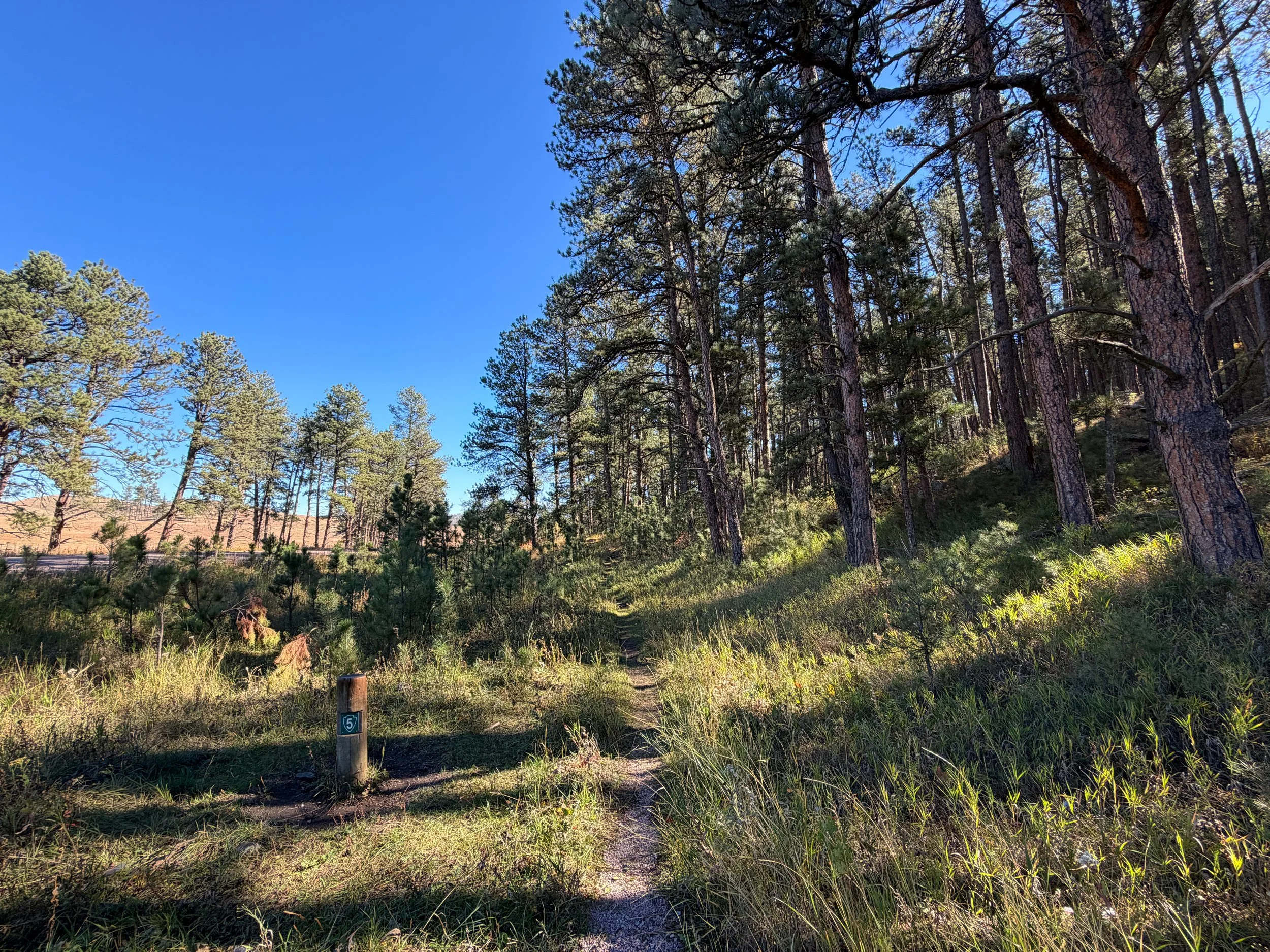 Sanctuary Trail Wind Cave National Park South Dakota