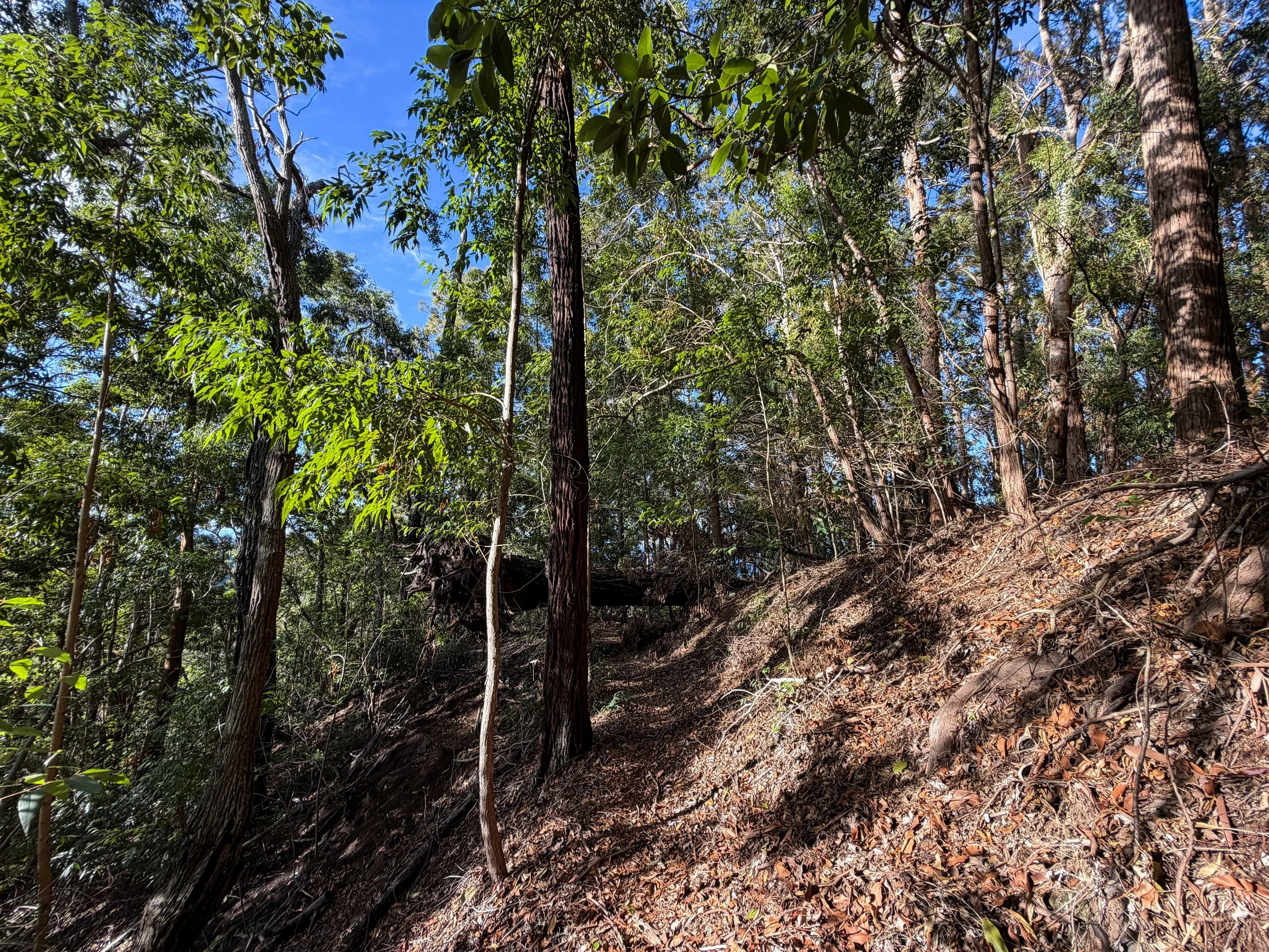 Mokuleia Trail Oahu Hawaii