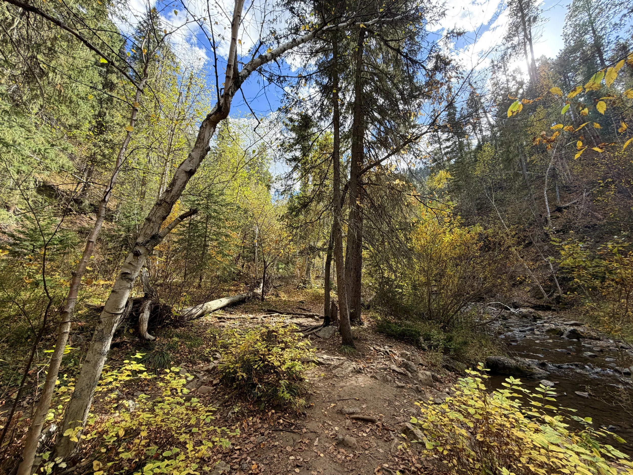 Devils Bathtub Trail Spearfish Canyon Black Hills South Dakota