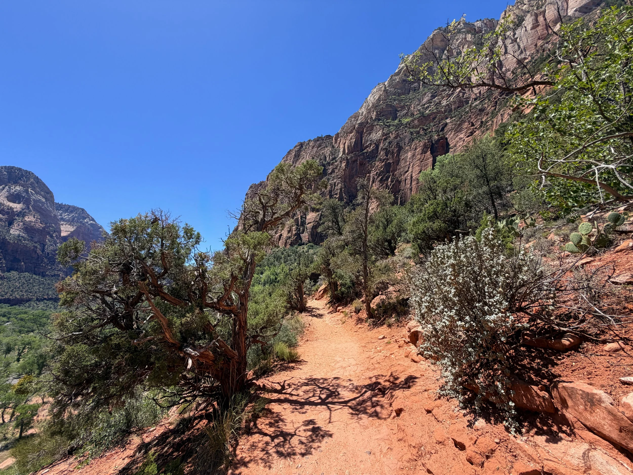 Middle Emerald Pools Hike Zion National Park Utah