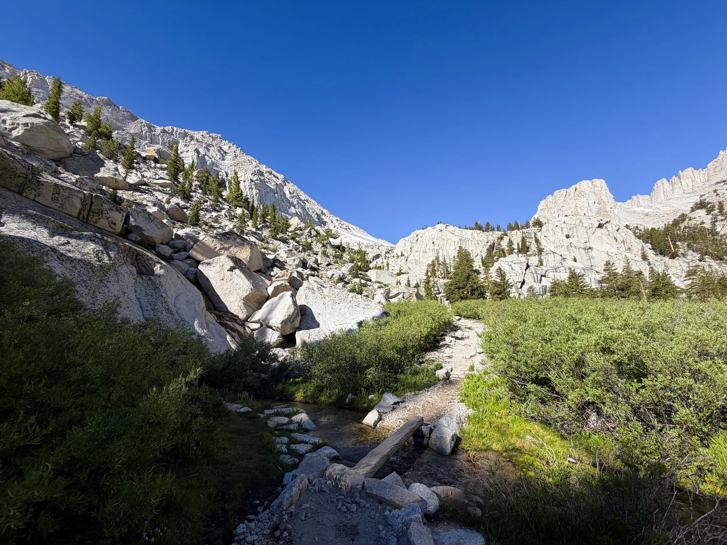 Bighorn Park Meadow Mt. Whitney Trail California