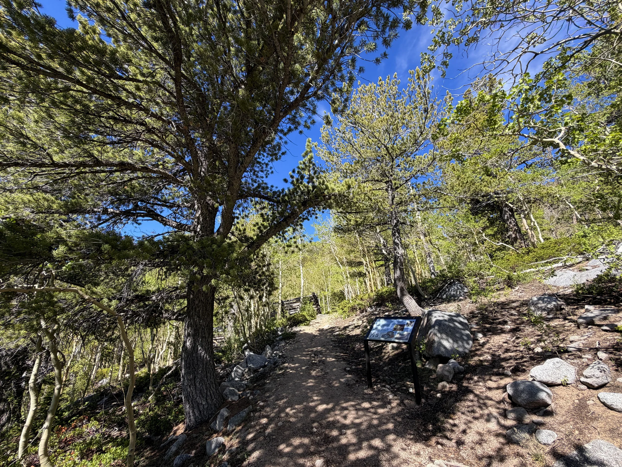 Johnson Mill Historic Site Johnson Lake Trail Great Basin National Park Nevada