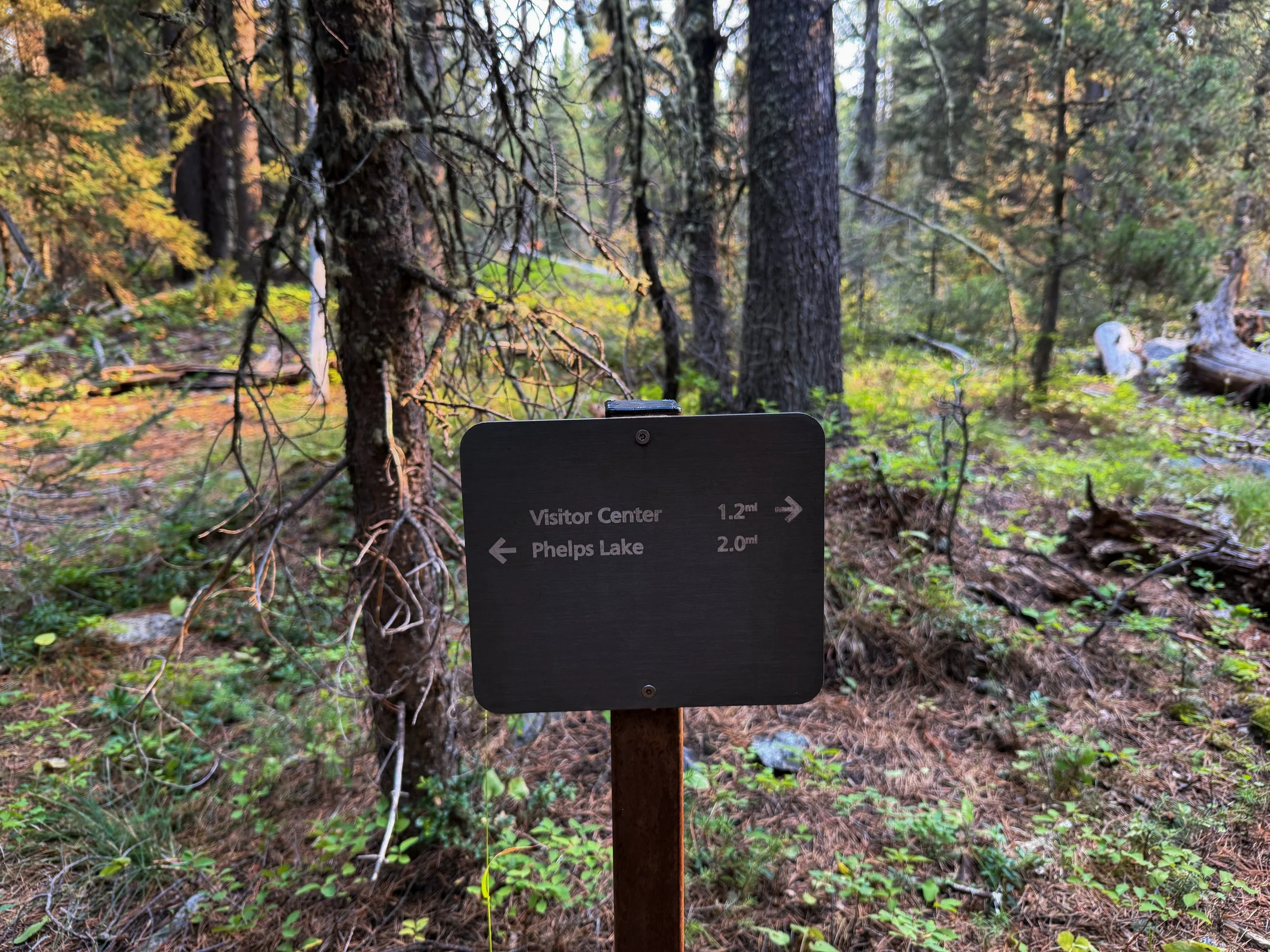 Boulder Aspen Ridge Loop Trail Grand Teton National Park Wyoming