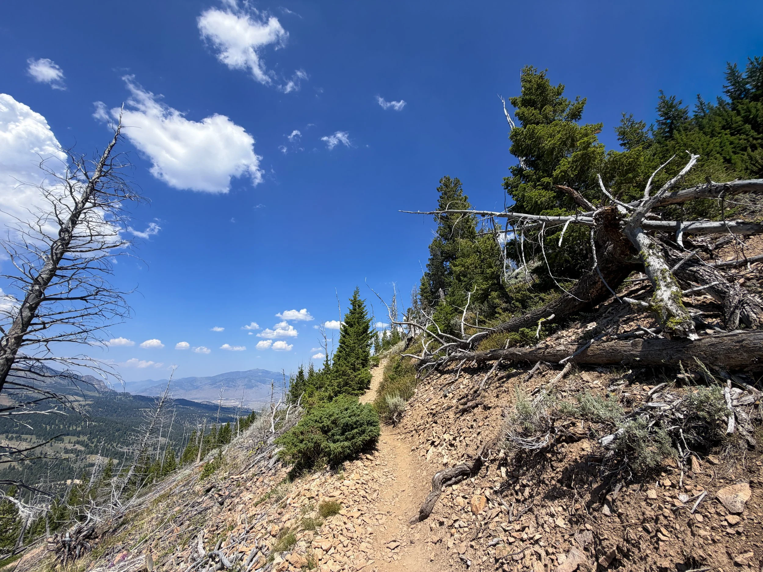 Bunsen Peak Trail Yellowstone National Park Wyoming