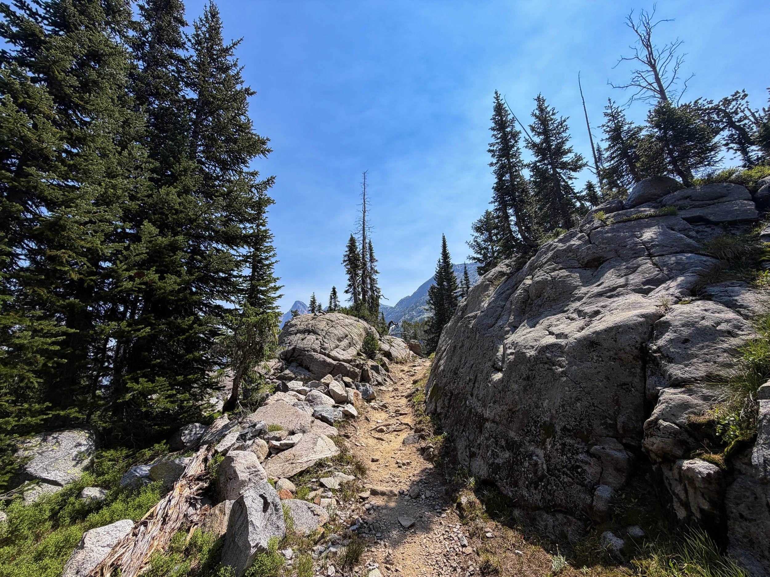 The Beaten Path Trail Beartooth Mountains Montana