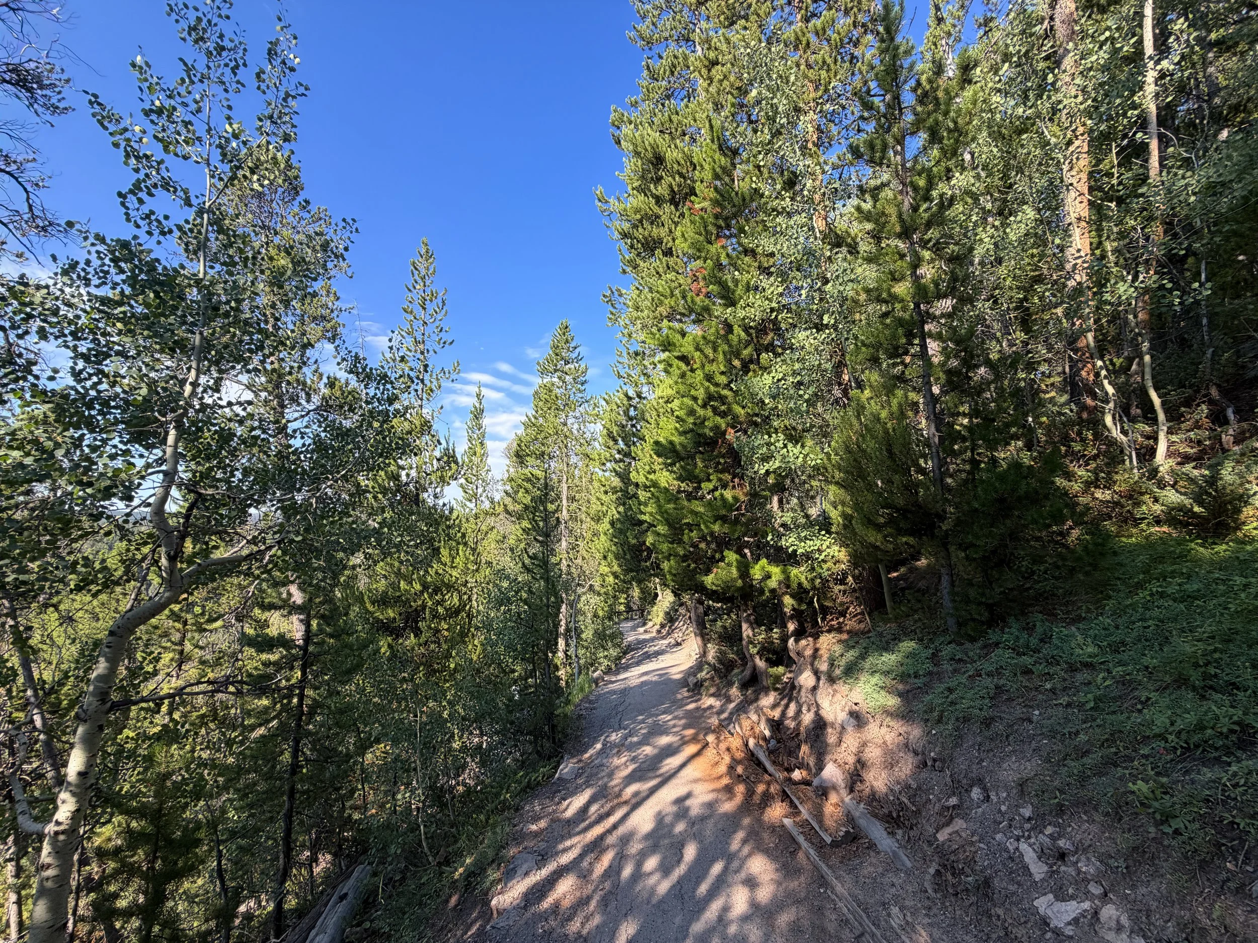 Brink of the Lower Falls Trail Yellowstone National Park Wyoming