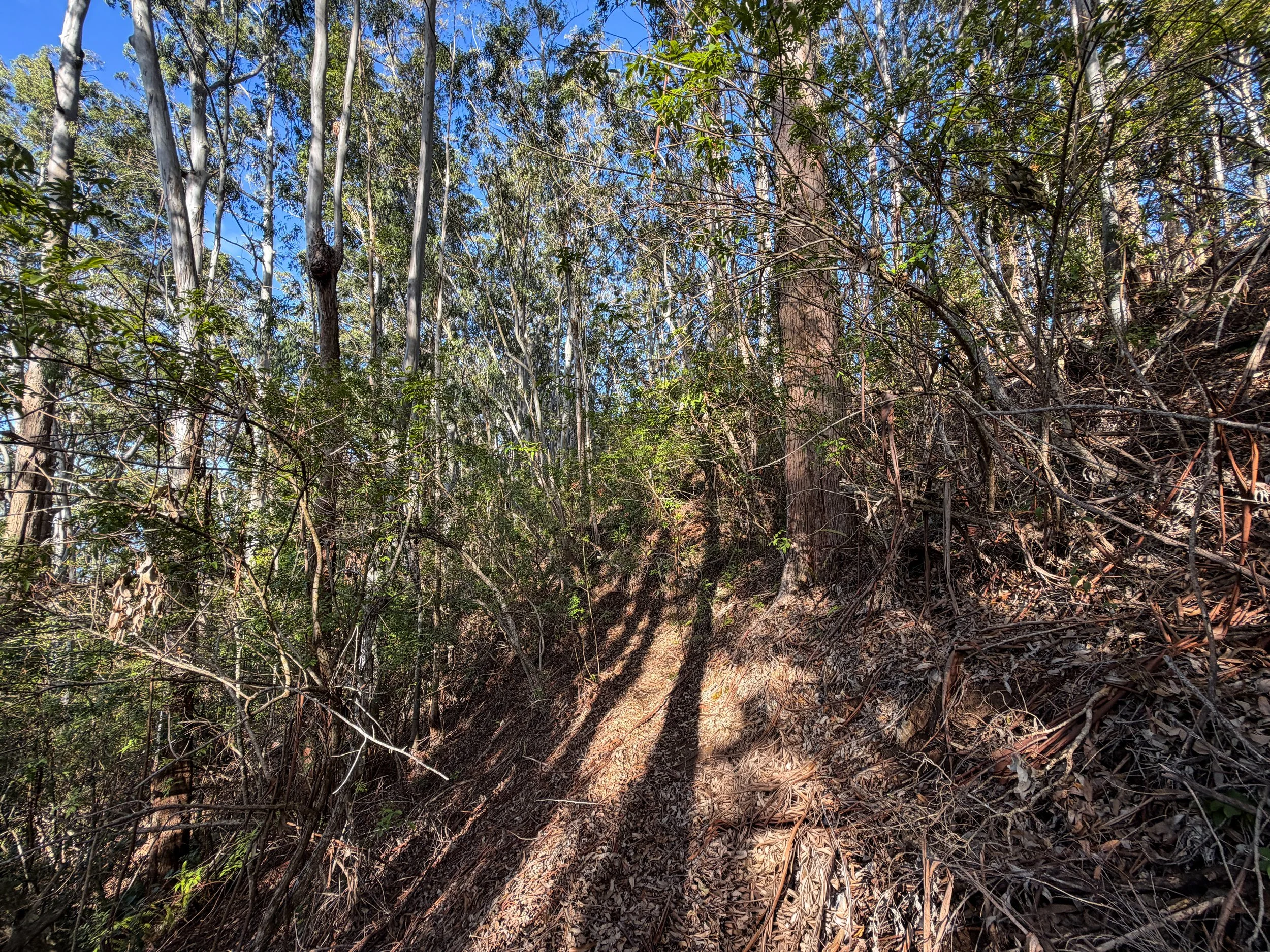 Mokuleia Trail Oahu Hawaii