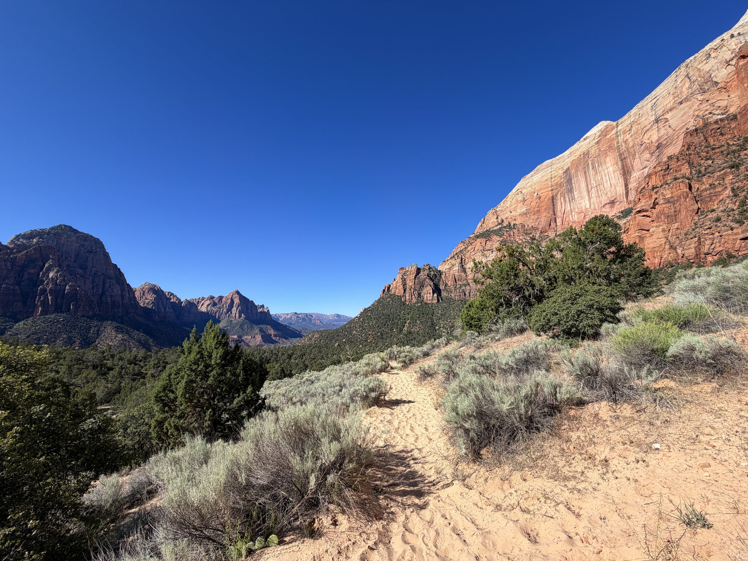 Sand Bench Hike Zion National Park Utah