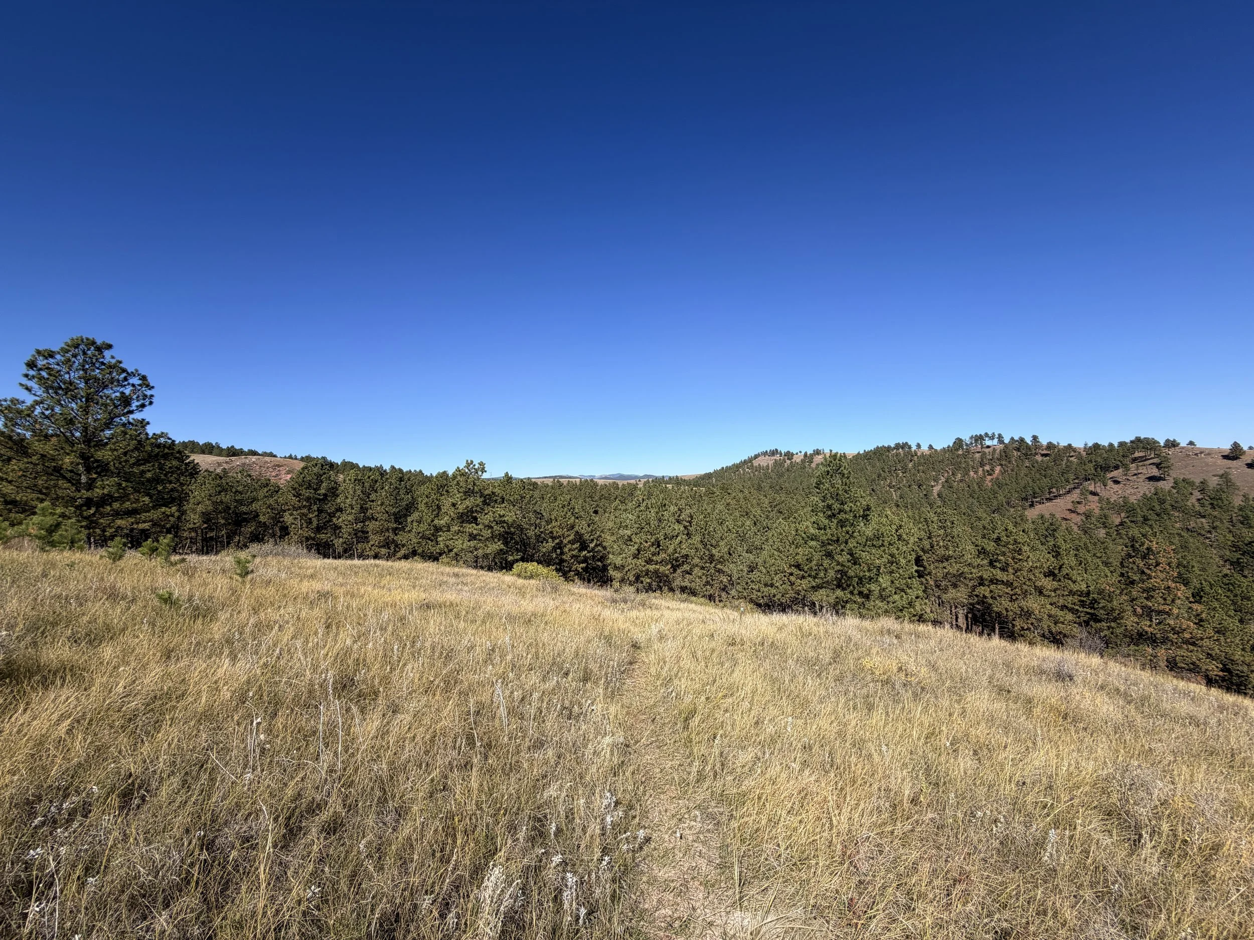 East Bison Flats Hike Wind Cave National Park South Dakota