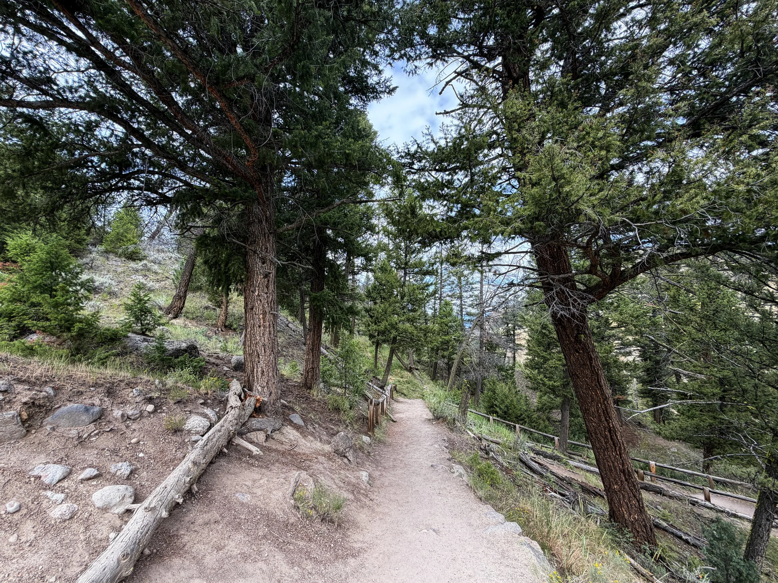 Tower Falls Trail Yellowstone National Park Wyoming