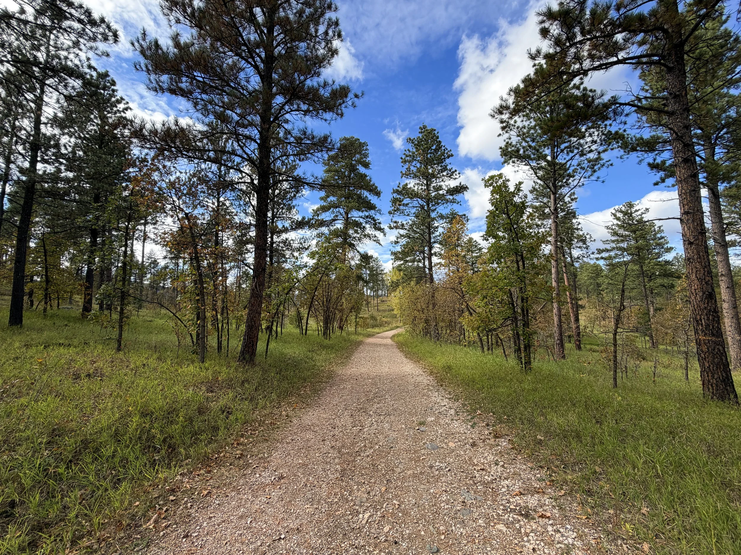 Stratobowl Rim Hike Black Hills South Dakota