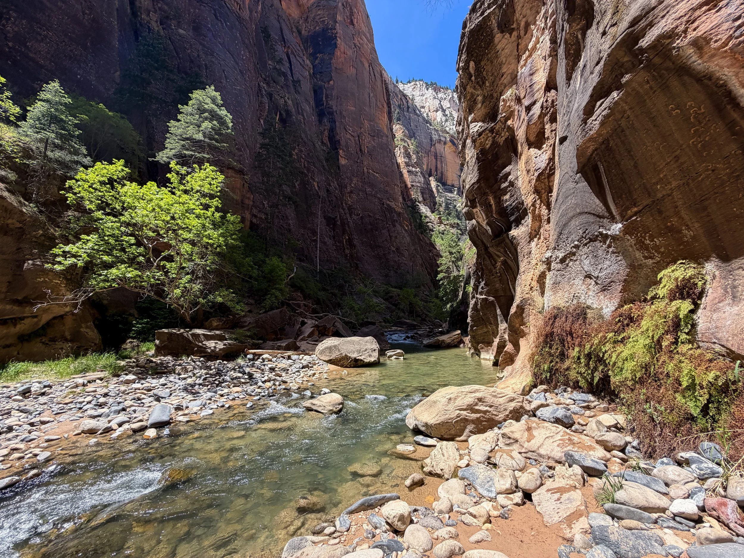 The Narrows Hike Zion National Park Utah
