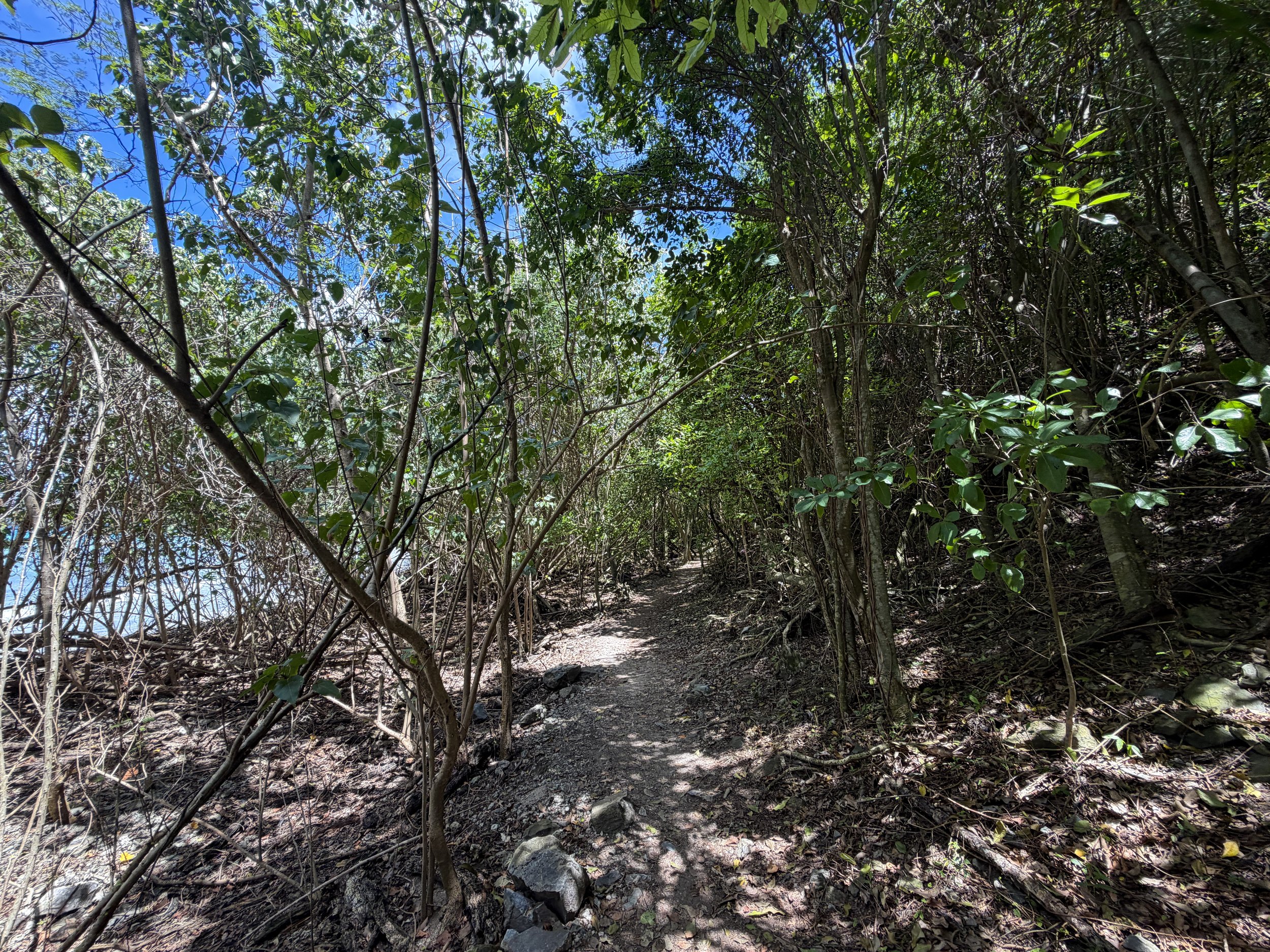 Leinster Bay Trail Virgin Islands National Park