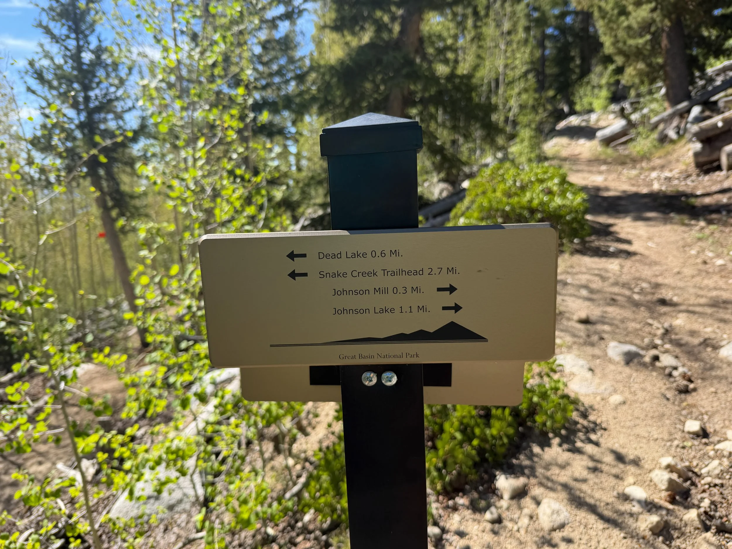 Johnson Lake Trail Great Basin National Park Nevada
