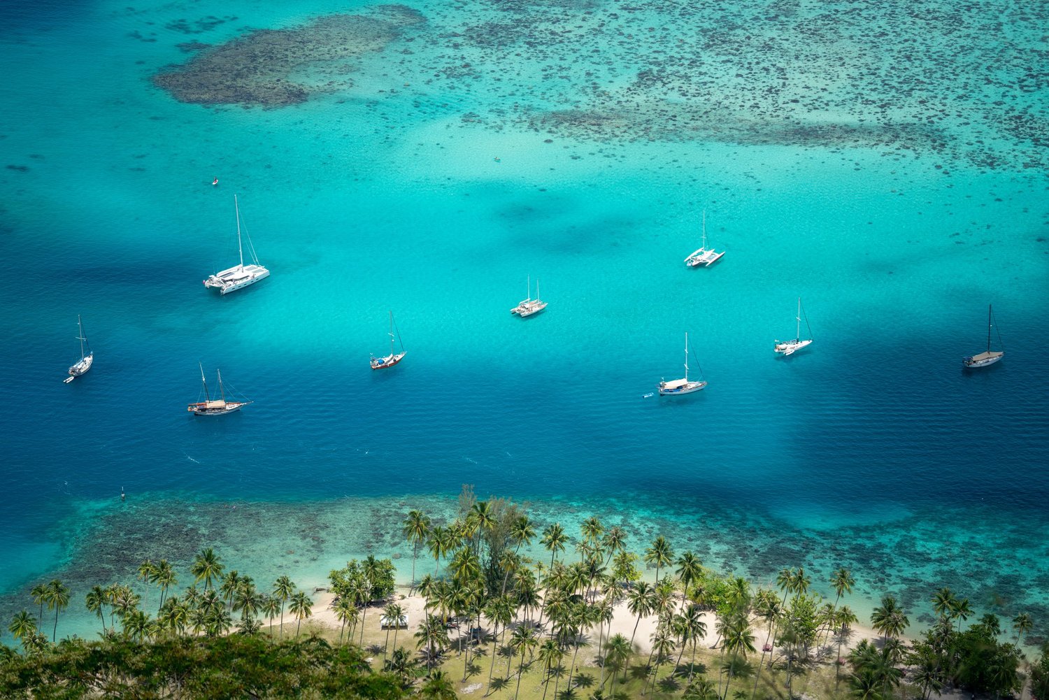 10 Best Things to Do on Moʻorea, French Polynesia — noahawaii