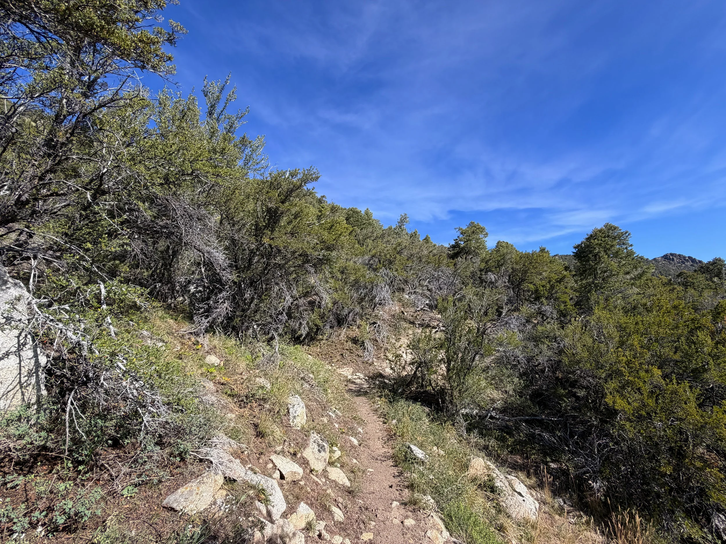 Pole Canyon Hike Great Basin National Park Nevada