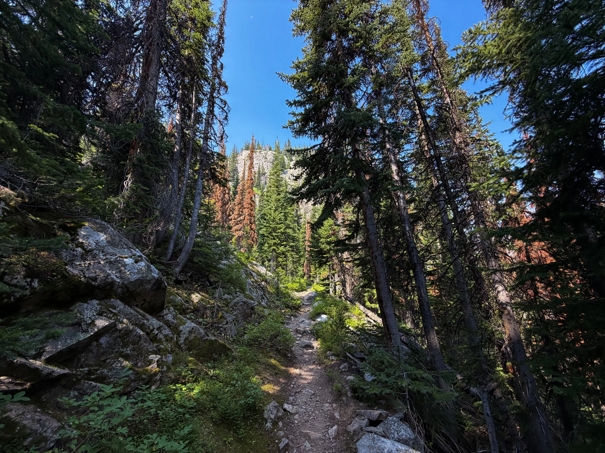 East Rosebud Trail The Beaten Path Beartooth Mountains Montana