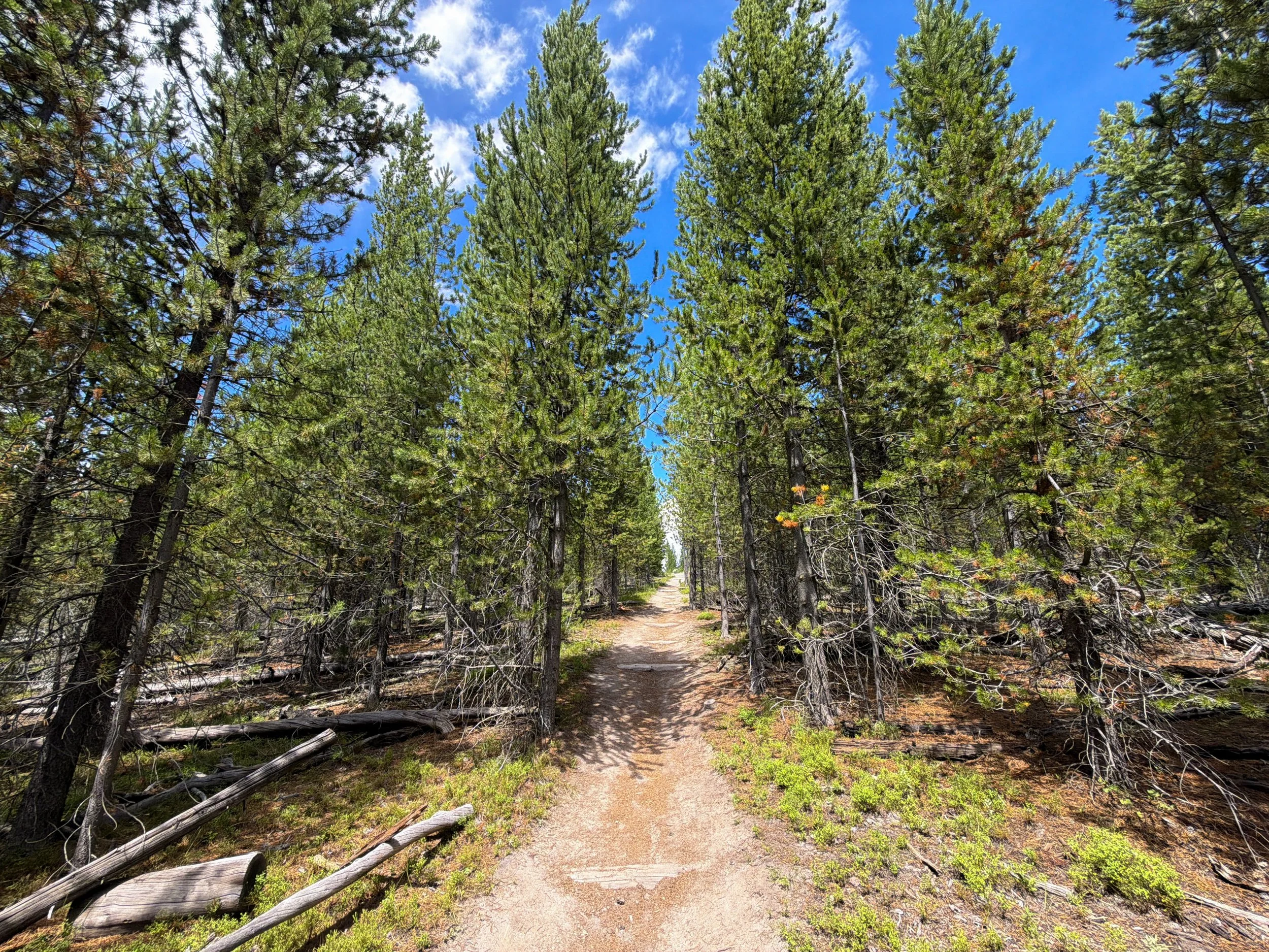 Duck Lake Trail Yellowstone National Park Wyoming