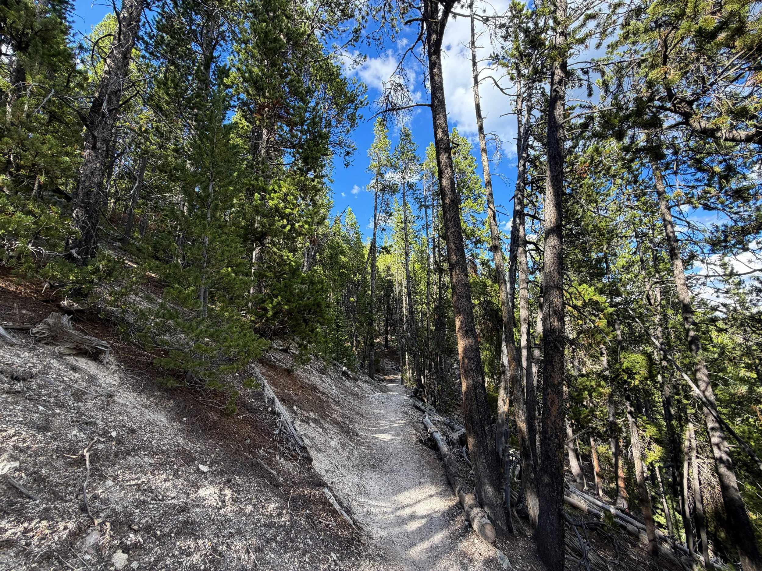 North Rim Trail Yellowstone National Park Wyoming