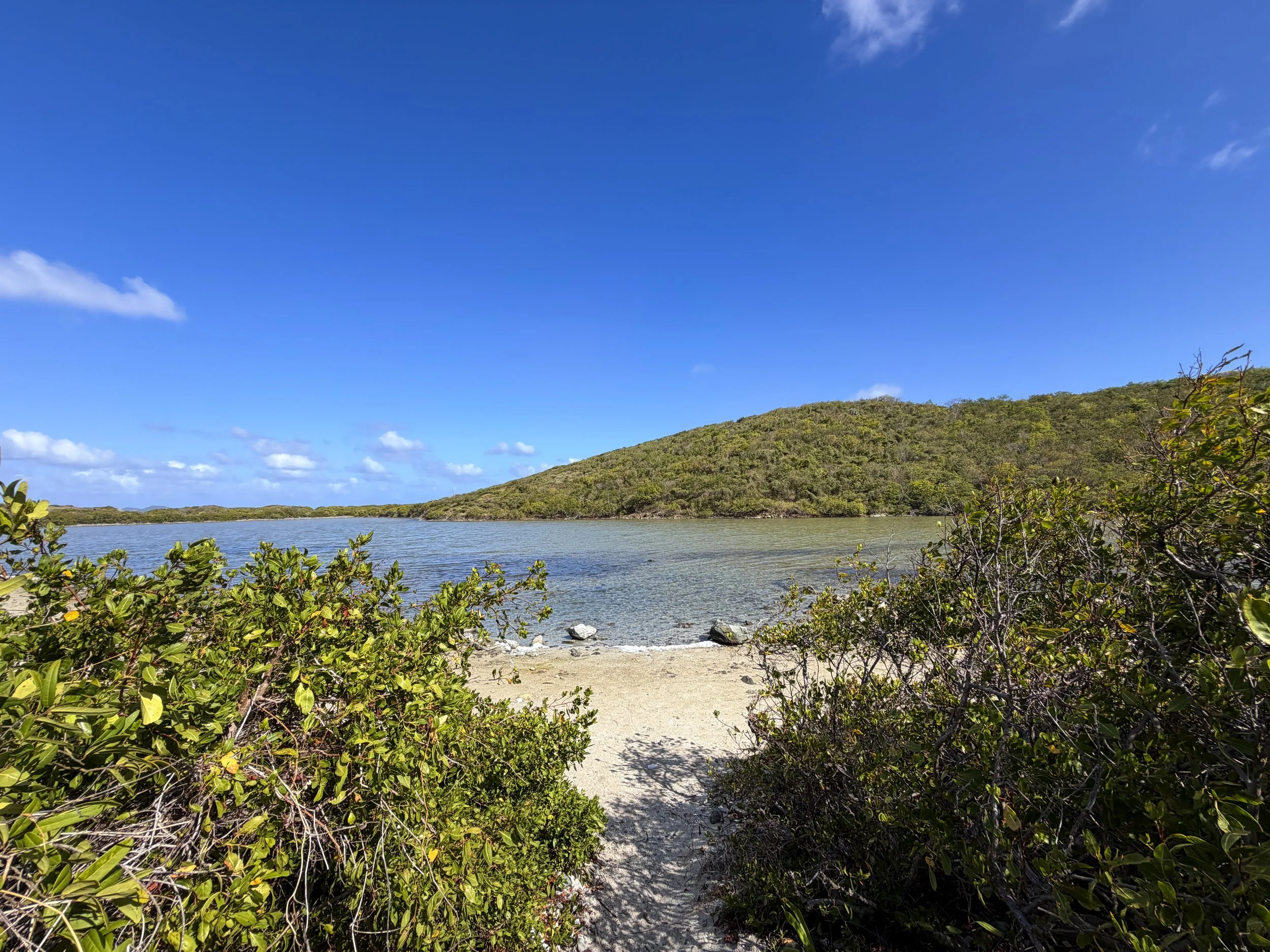 Drunk Bay Hike Virgin Islands National Park