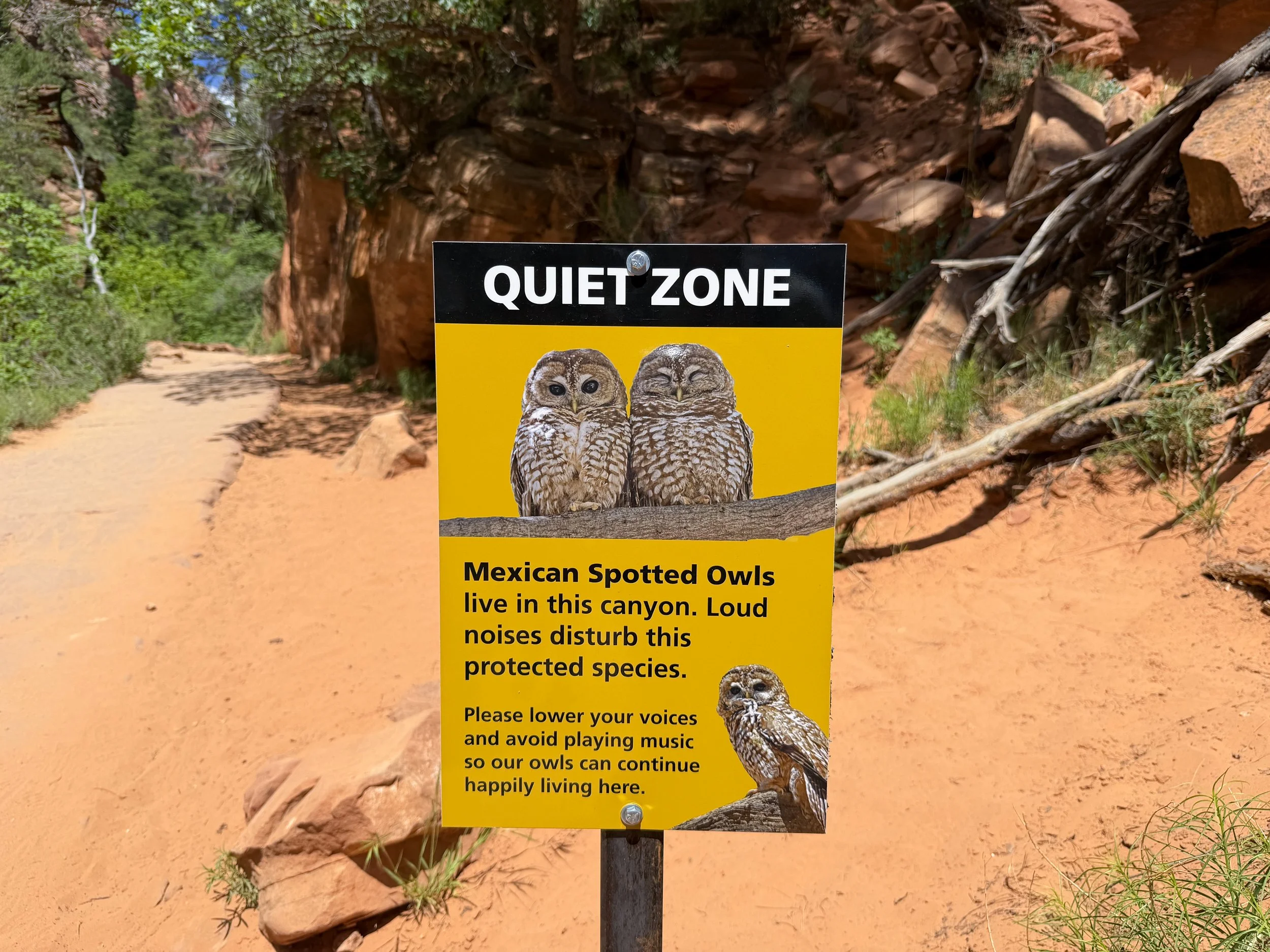 Angels Landing Hike Zion National Park Utah