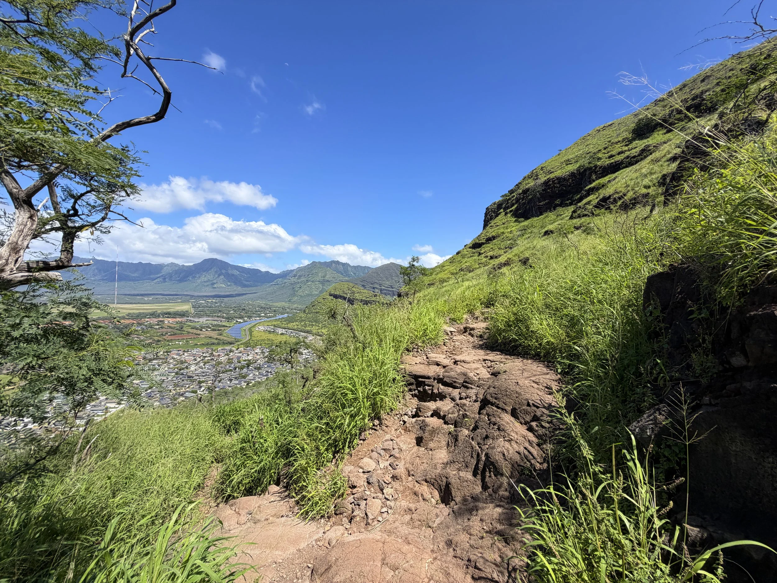 Pink Pillbox Hike Oahu Hawaii