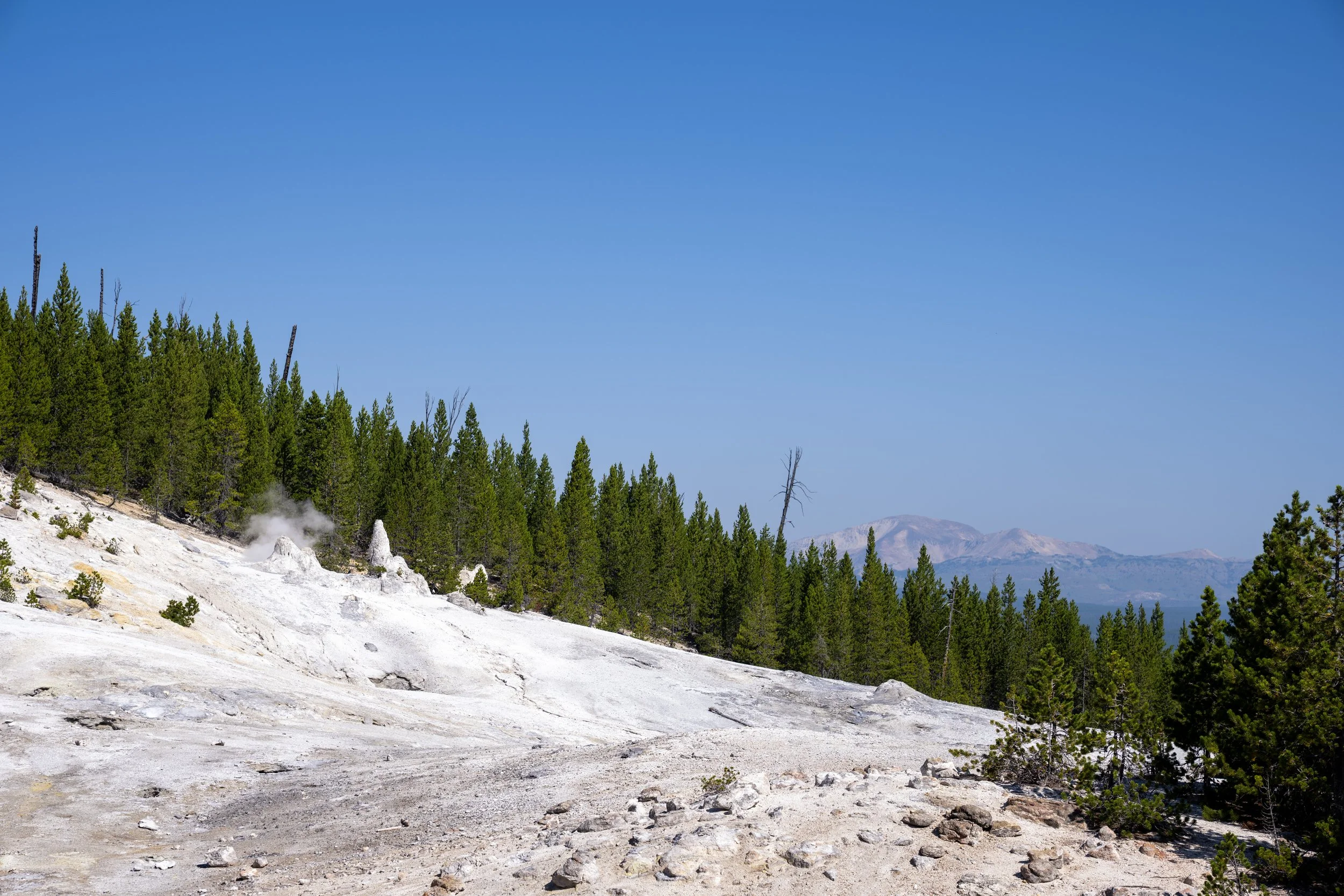Monument Geyser Basin Yellowstone National Park Wyoming