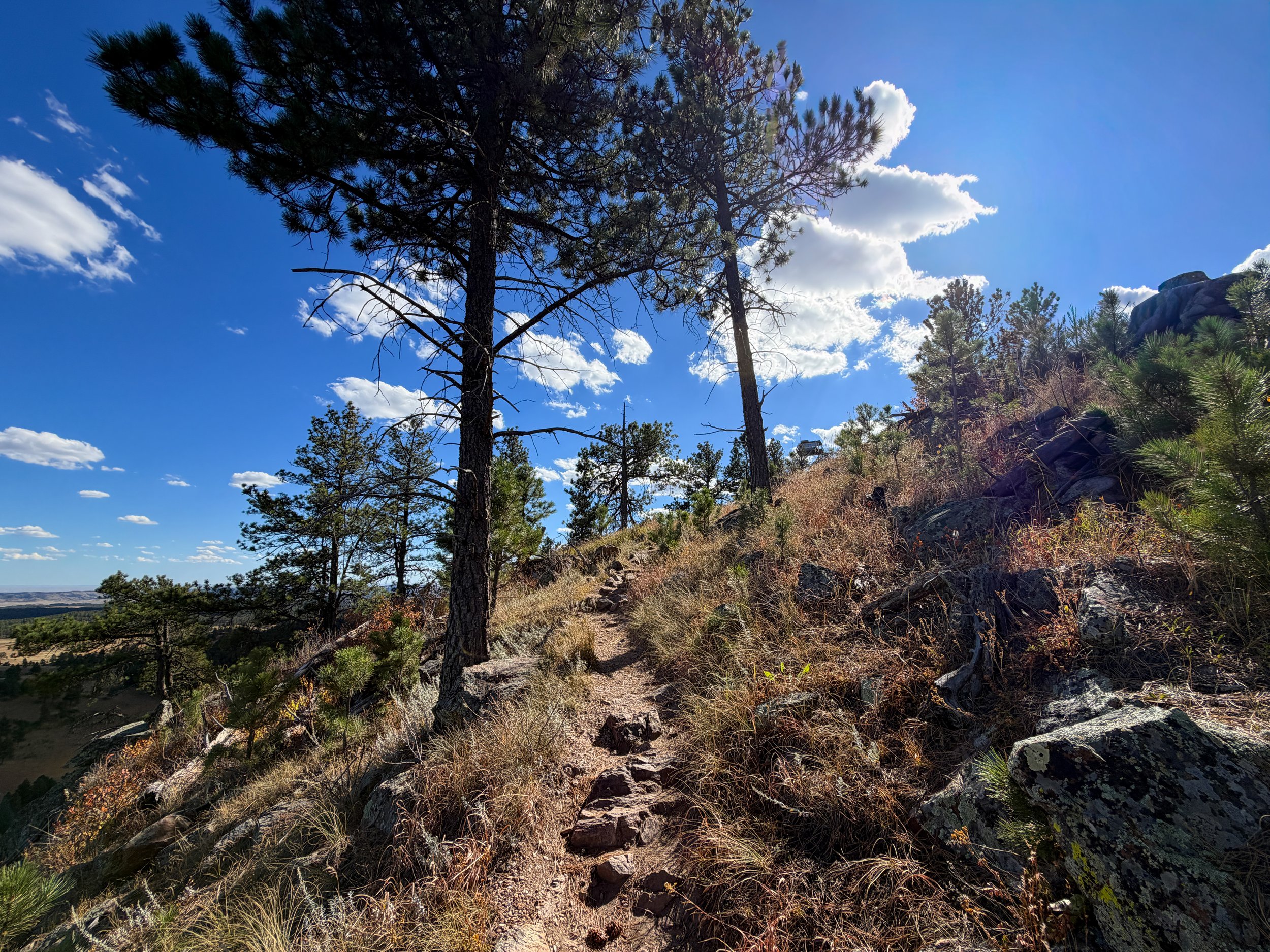 Rankin Ridge Hike Wind Cave National Park South Dakota