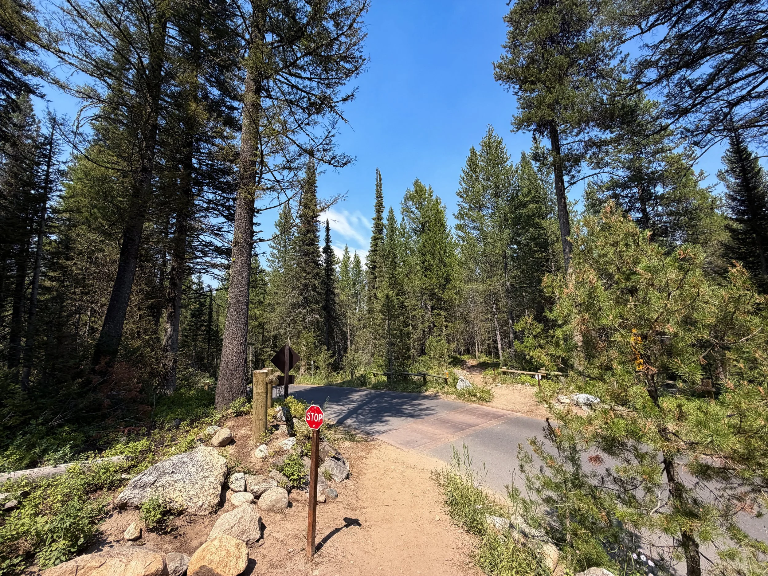 Phelps Lake Loop Trail Grand Teton National Park Wyoming