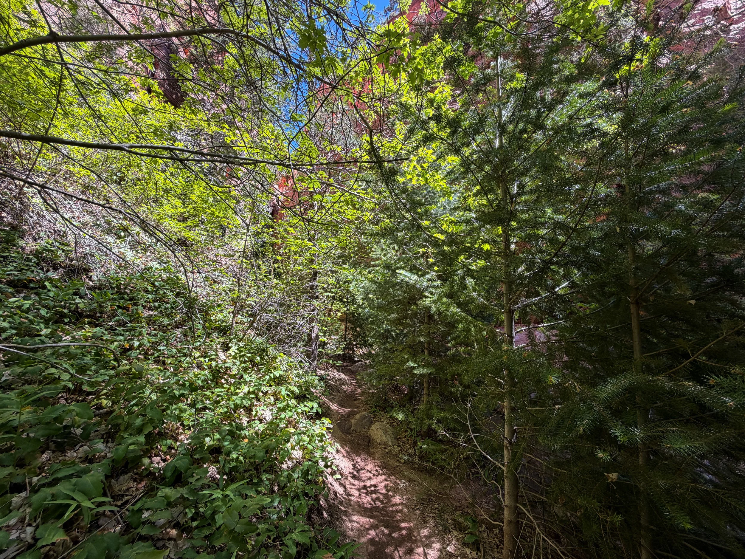 Kanarra Falls Trail Kanarraville Utah