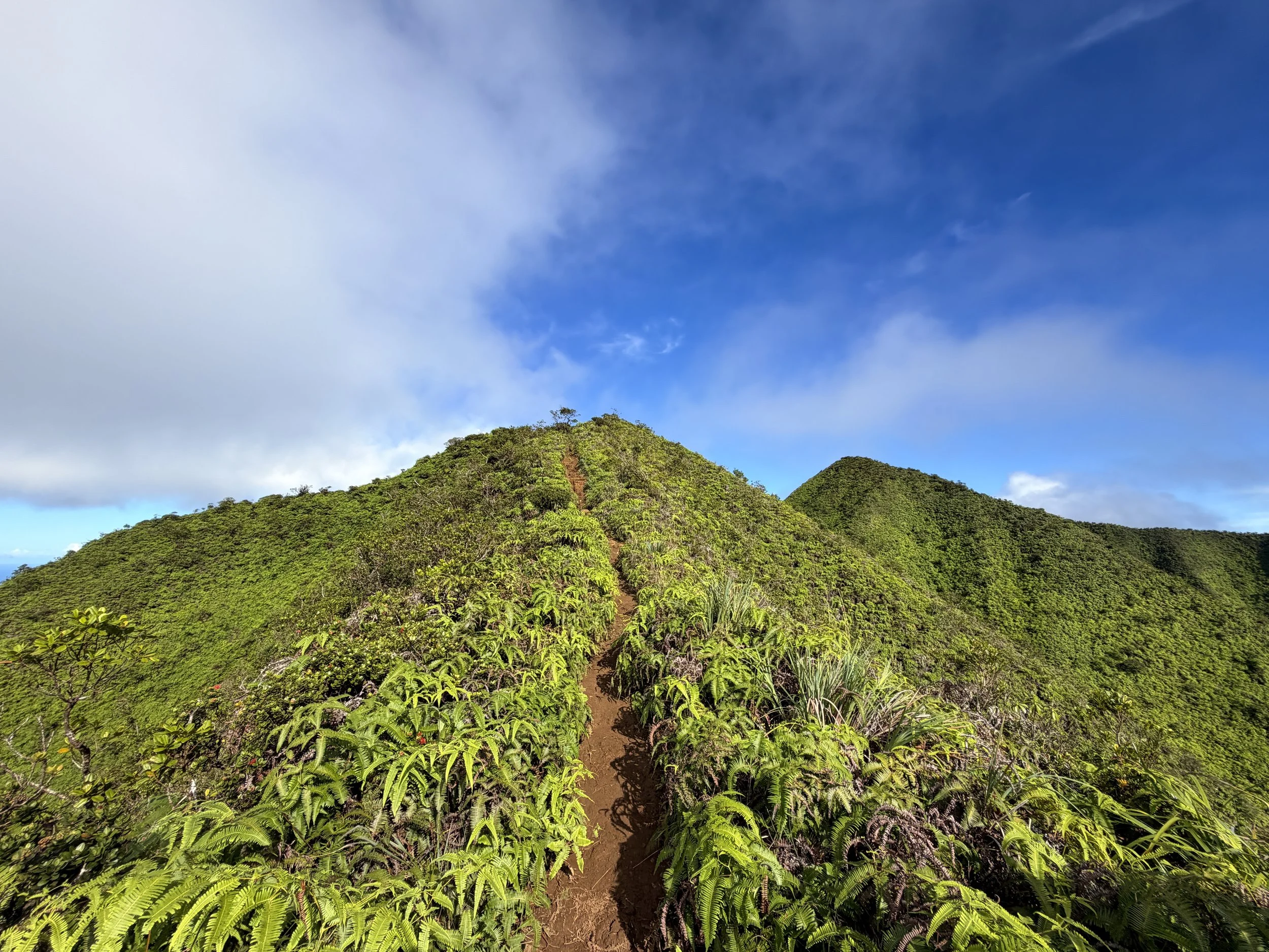 Wiliwilinui Ridge Trail Summit Oahu Hawaii