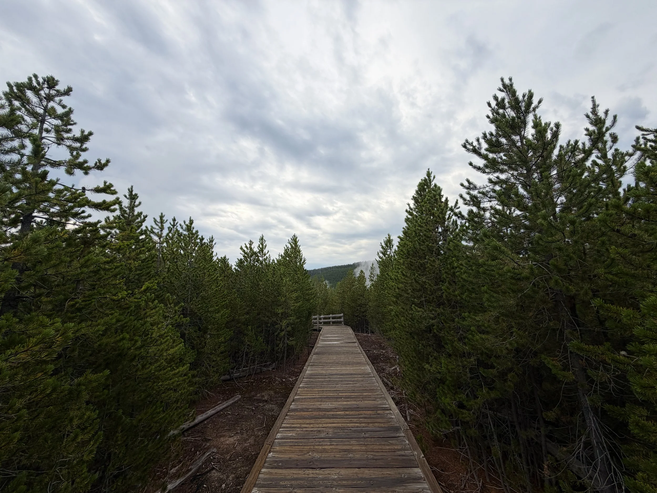 Norris Geyser Basin Trail Yellowstone National Park Wyoming