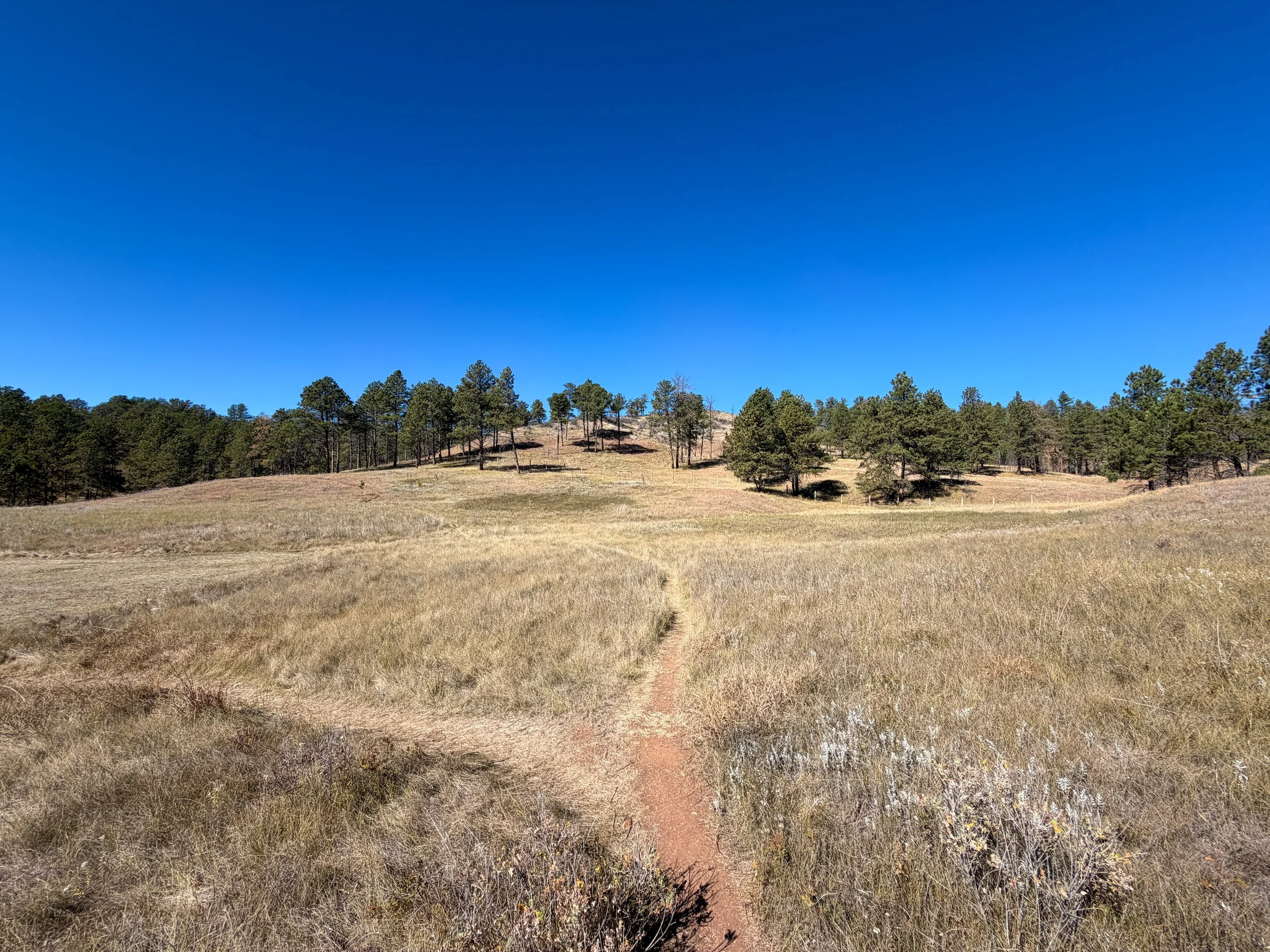 Elk Mountain Nature Loop Trail Wind Cave National Park South Dakota