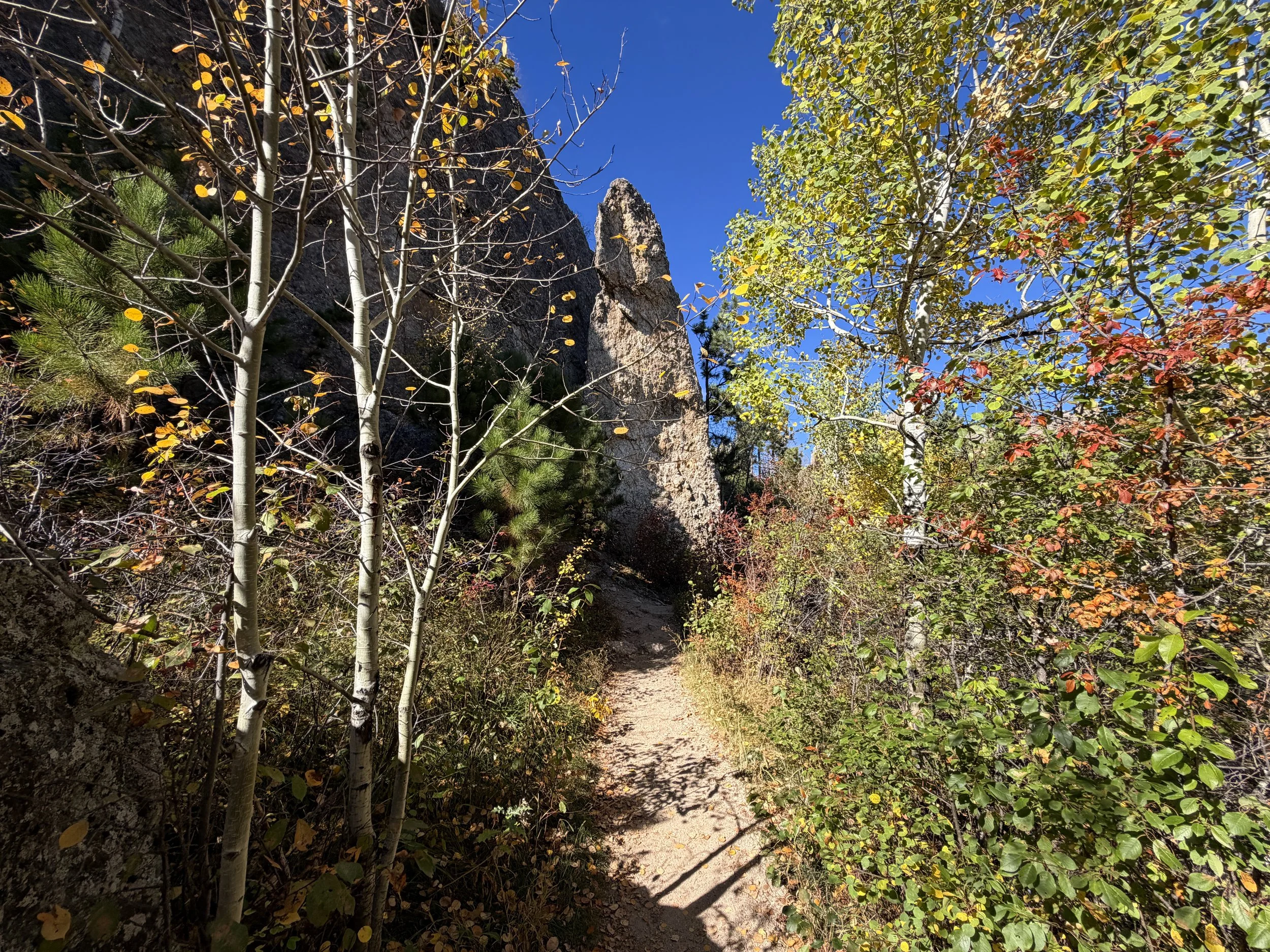 Cathedral Spires Trail Custer State Park Black Hills South Dakota