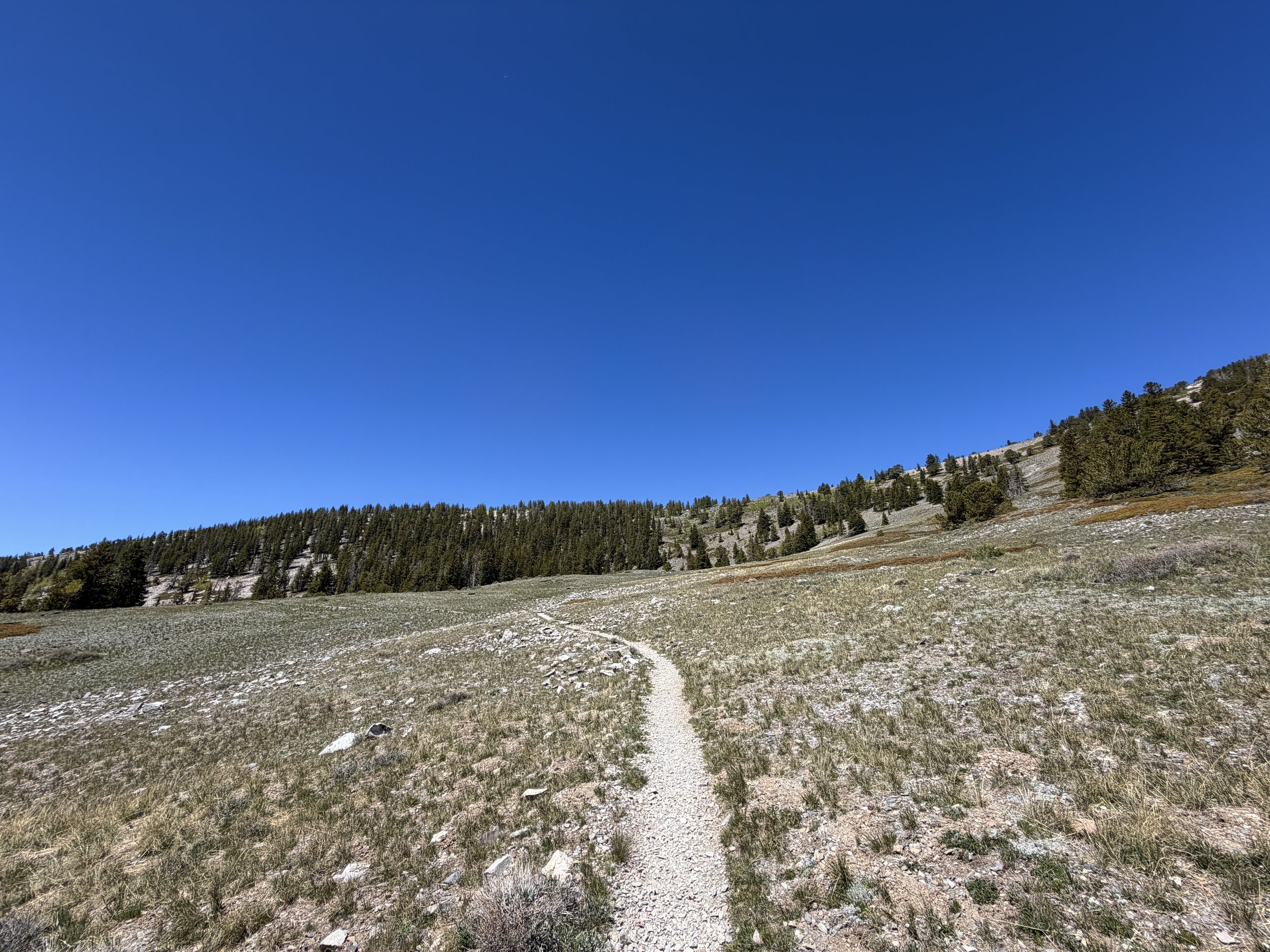 Wheeler Peak Trail Great Basin National Park Nevada