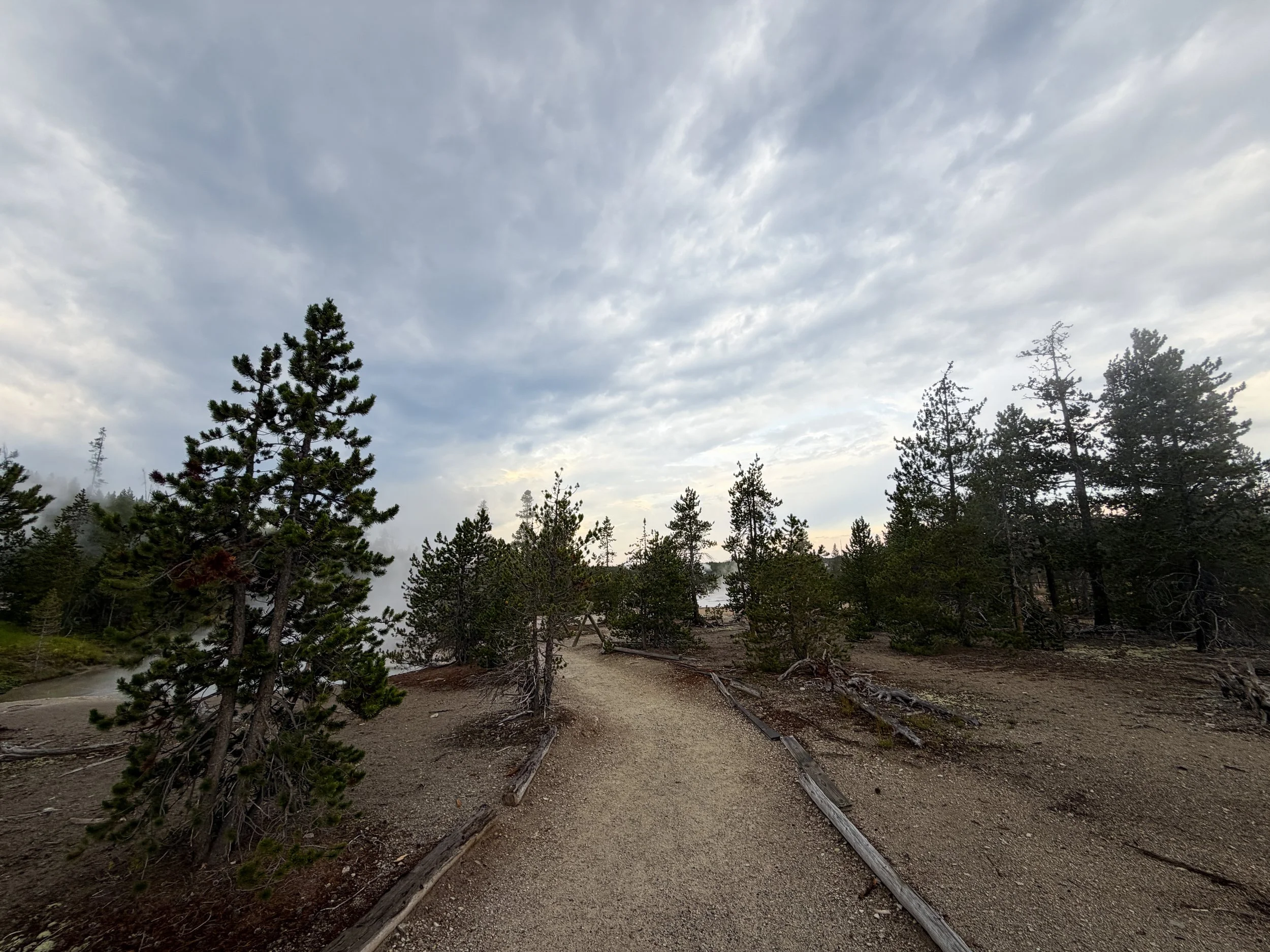 Norris Geyser Basin Loop Trail Yellowstone National Park Wyoming