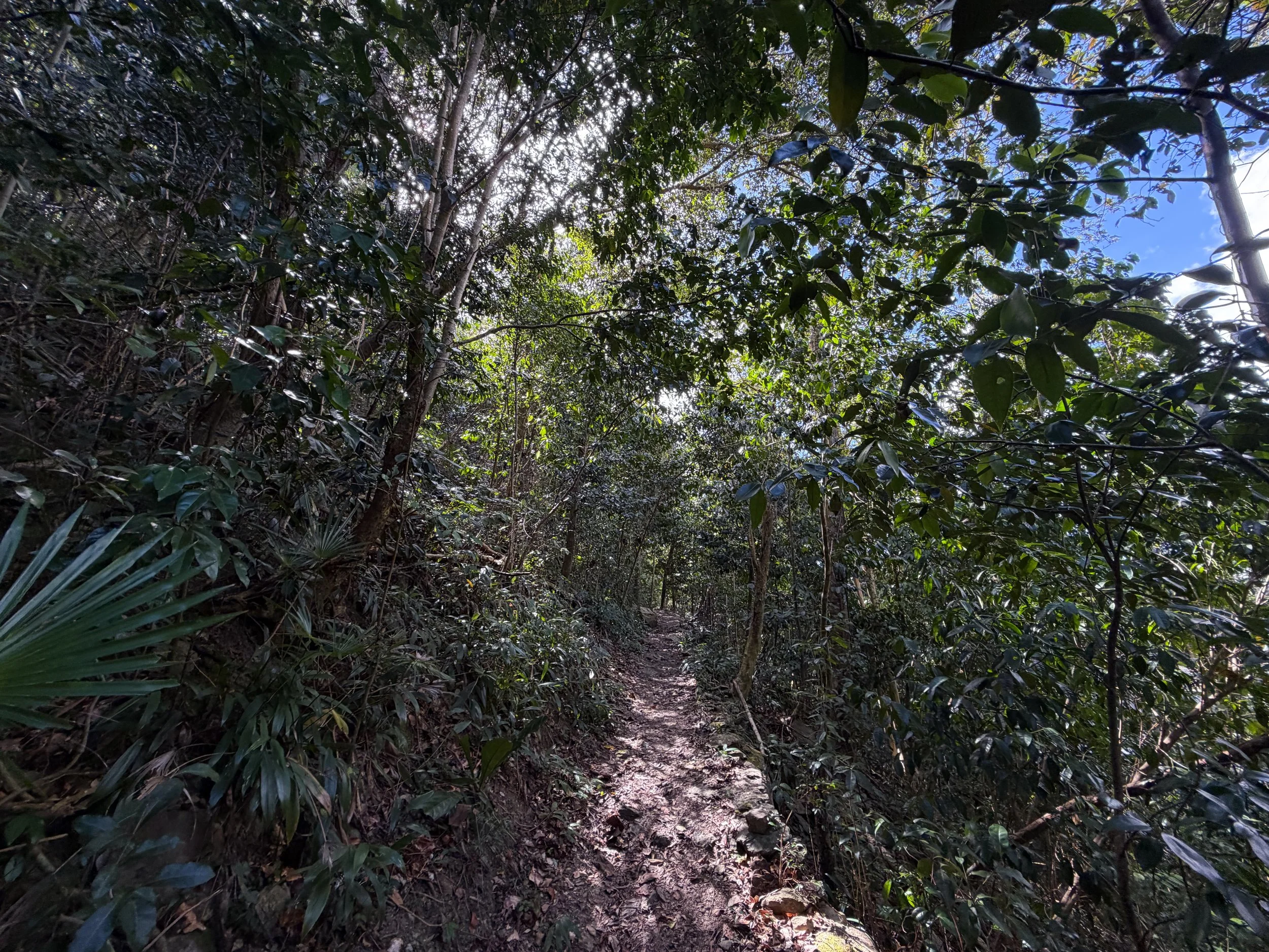 Cinnamon Bay Trail Virgin Islands National Park